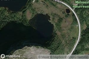 Glashylltjorna