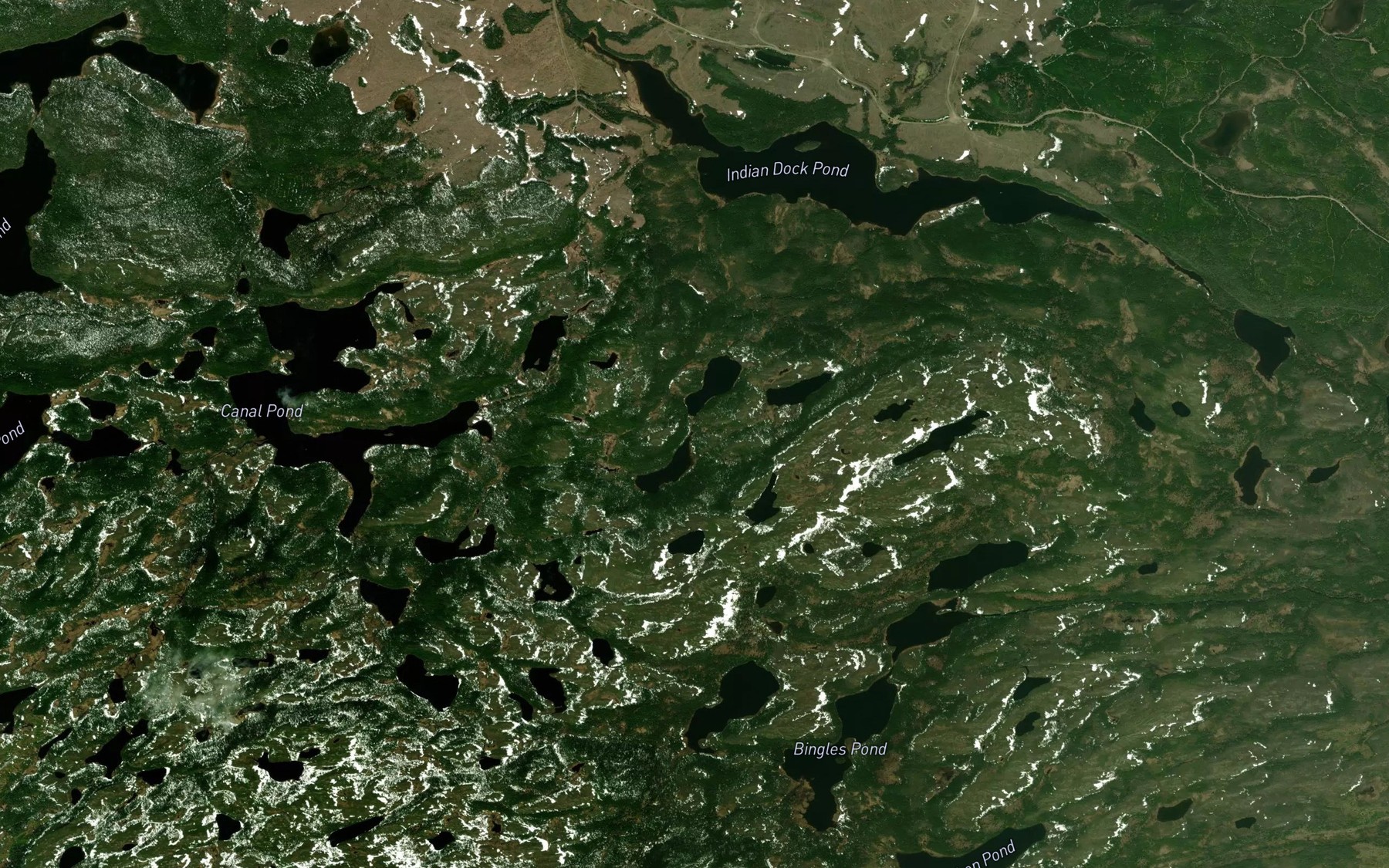 Satellite map of the Indian Pond