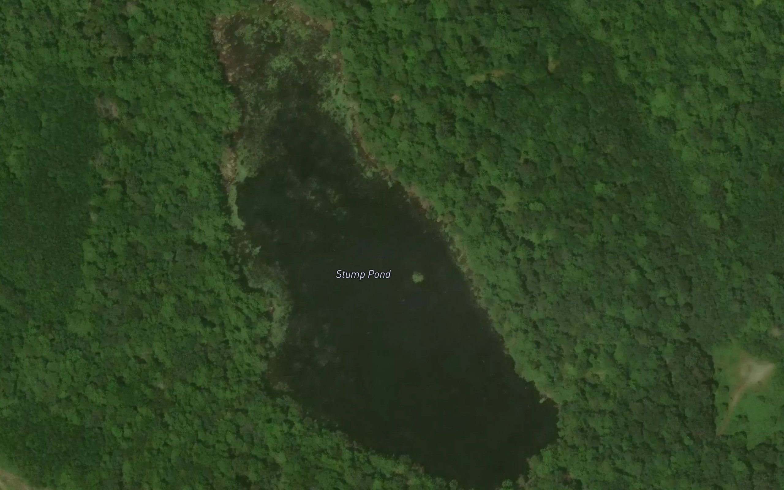 Stump Pond