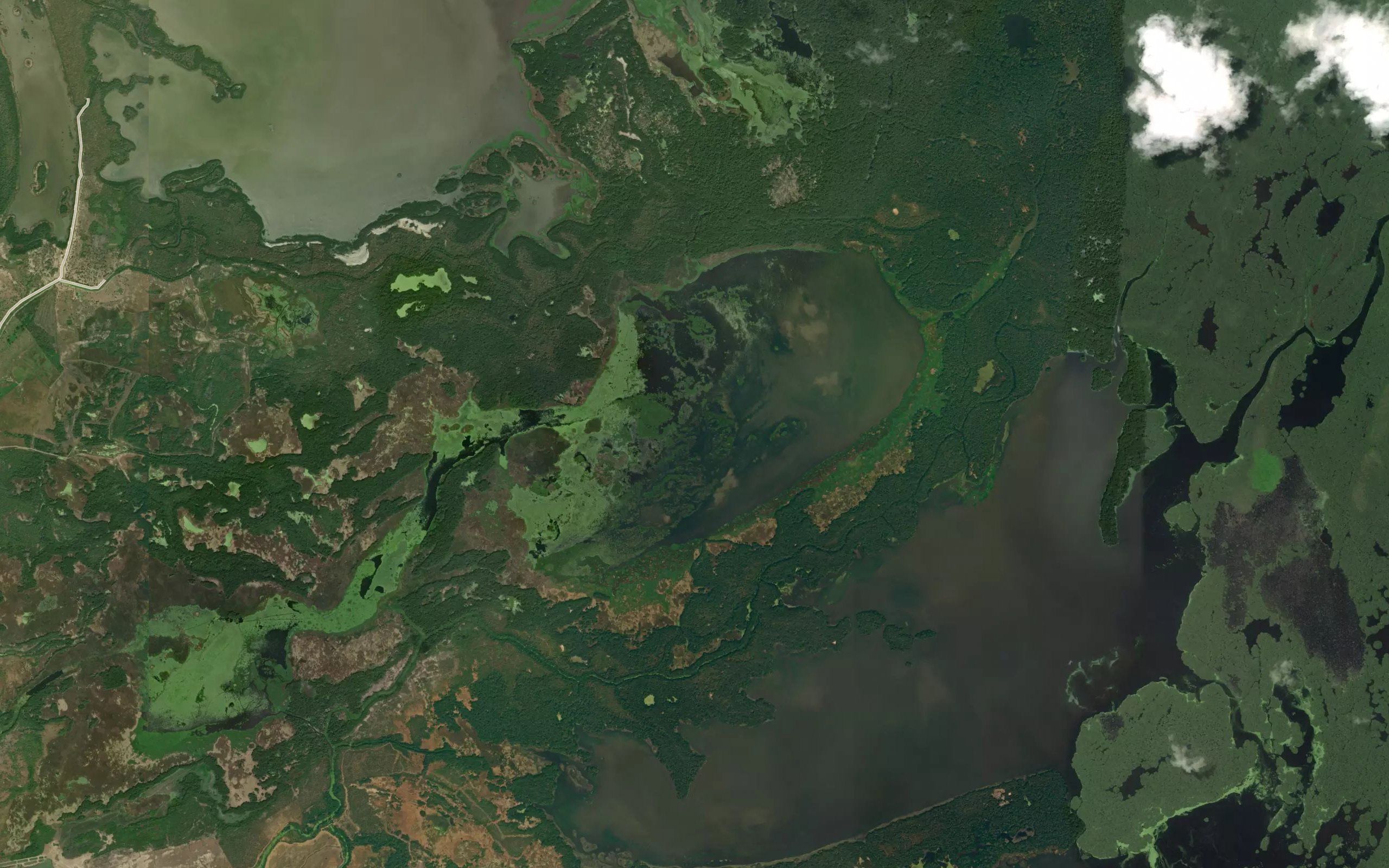 Cienaga Tamaca