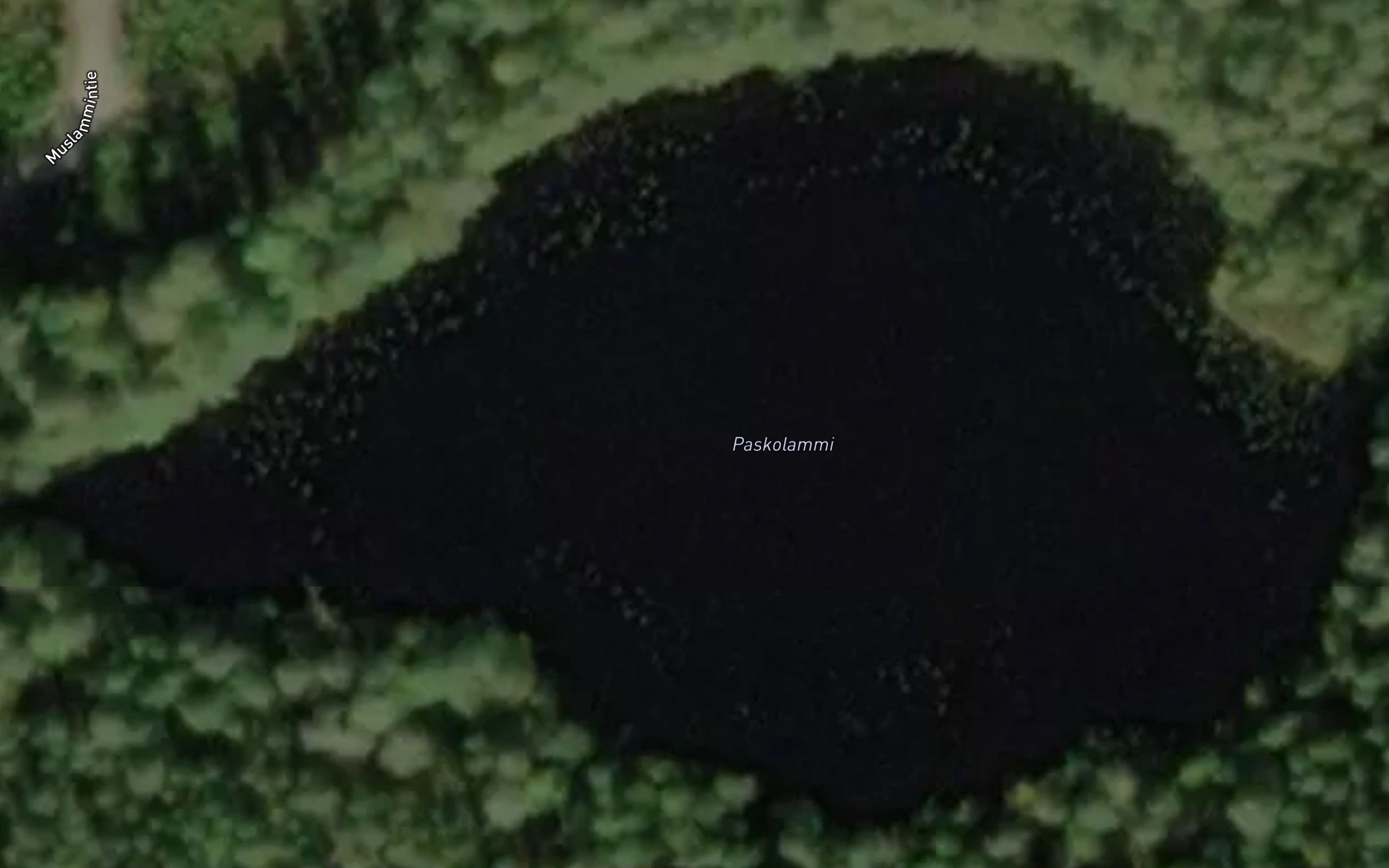 Paskolammi
