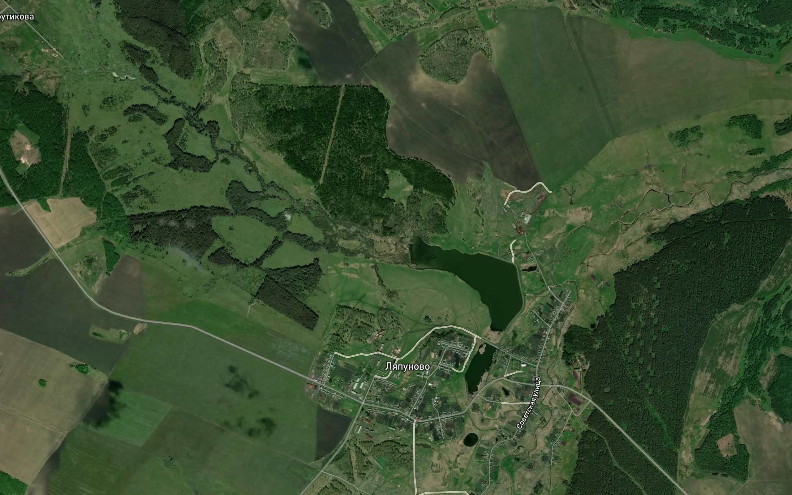 Borovushka