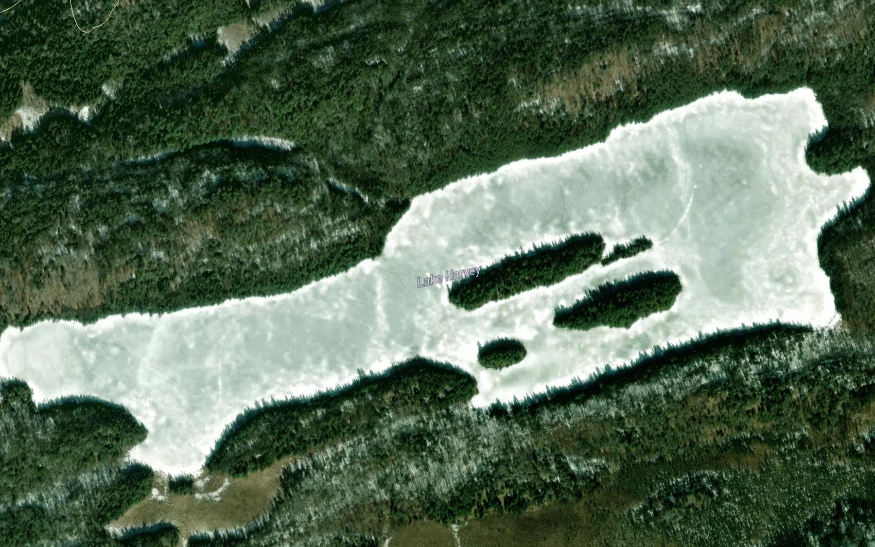 Satellite map of the Lake Harvey