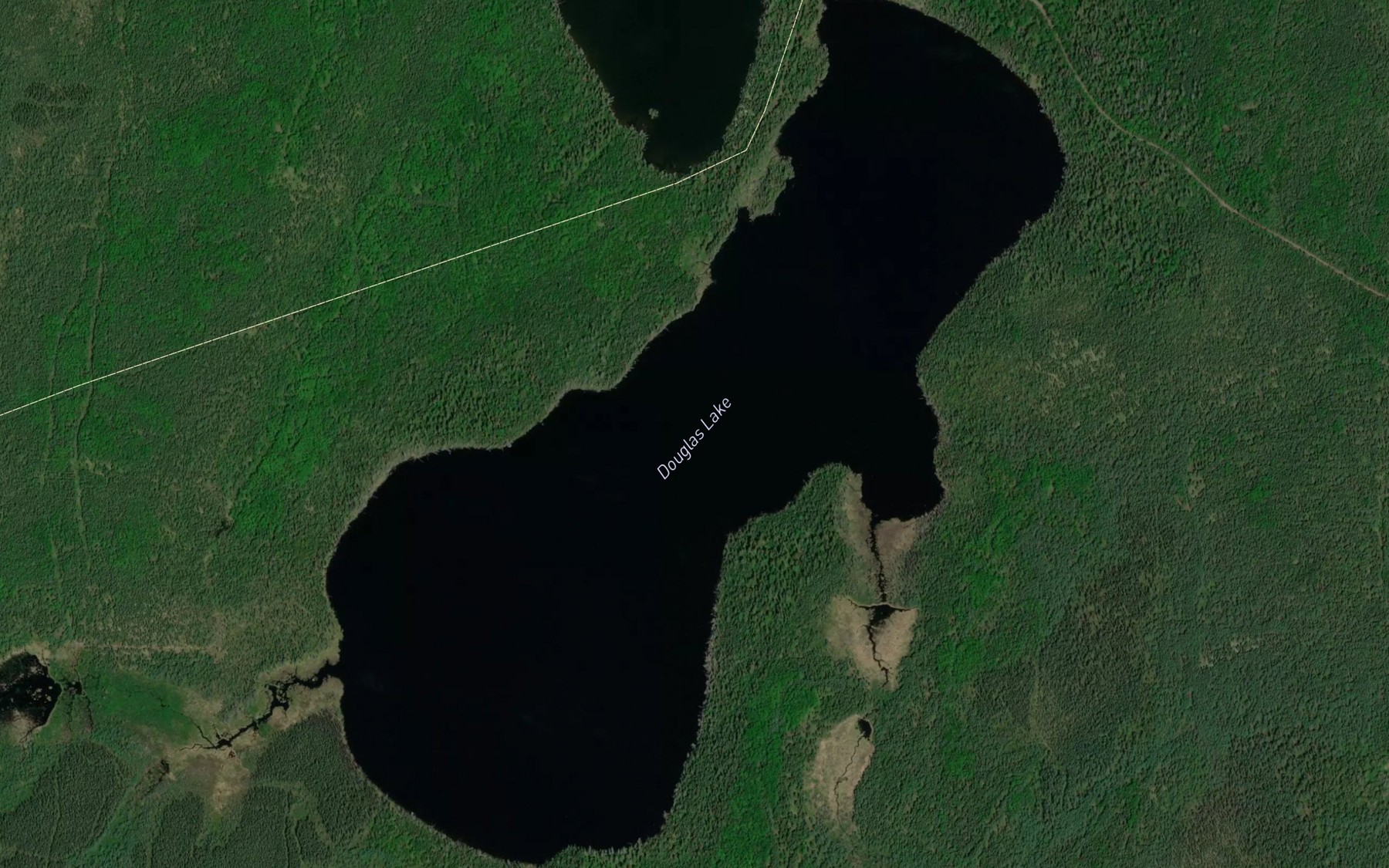 Satellite map of the Douglas Lake