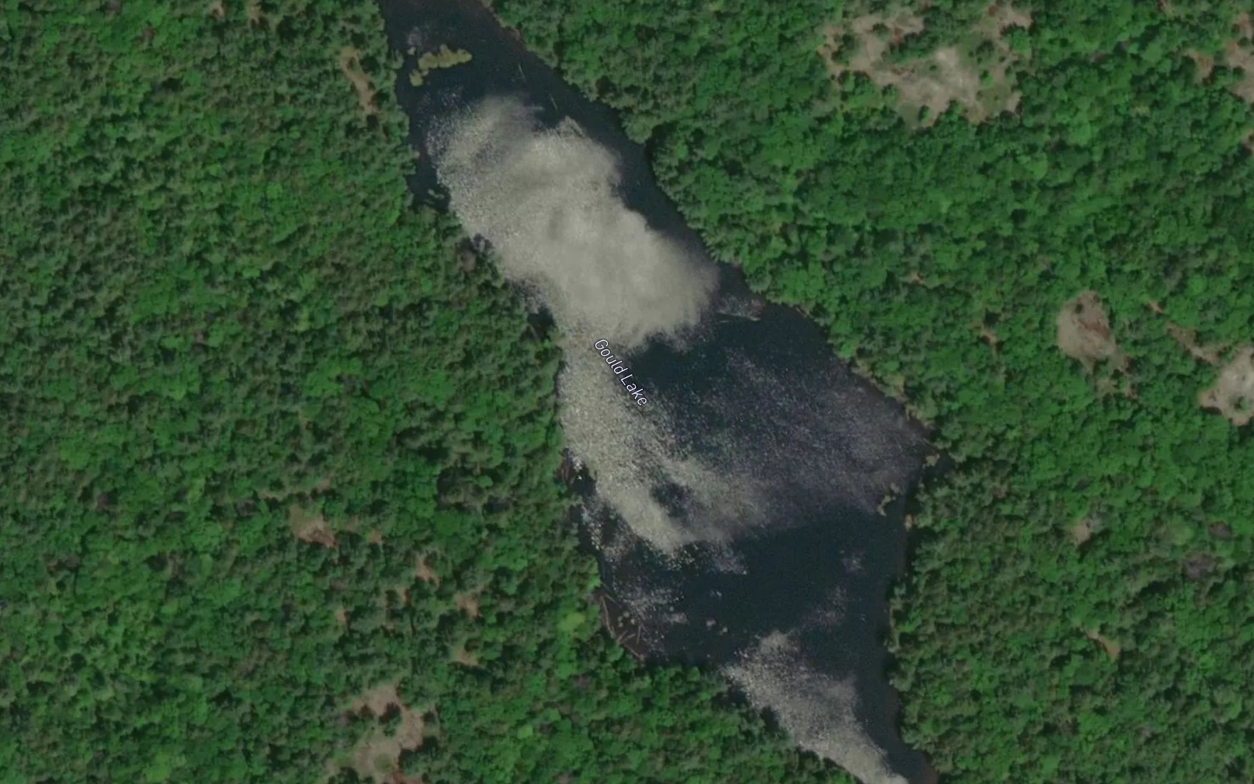 Satellite map of the Gould Lake