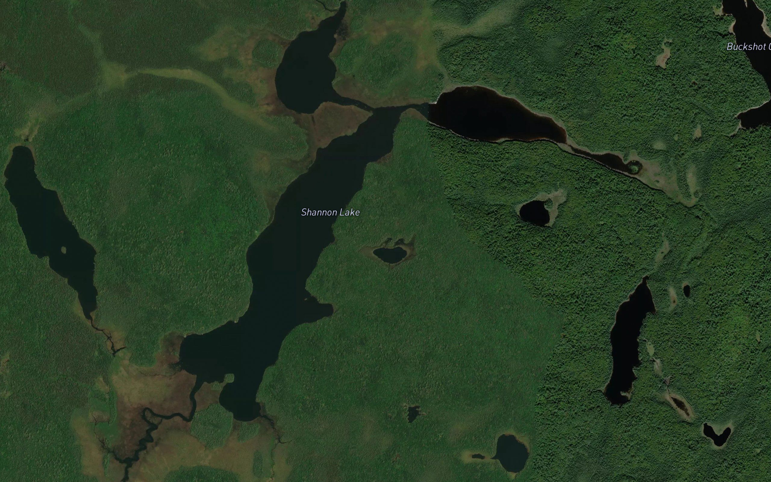 Shannon Lake