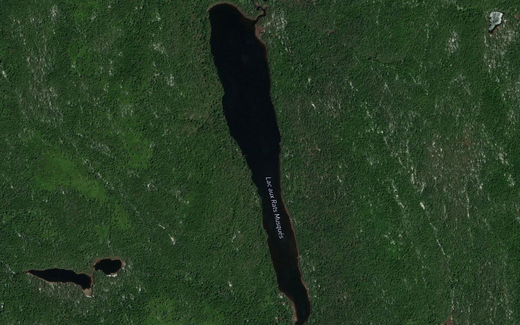 Satellite map of the Lac aux Rats Musques