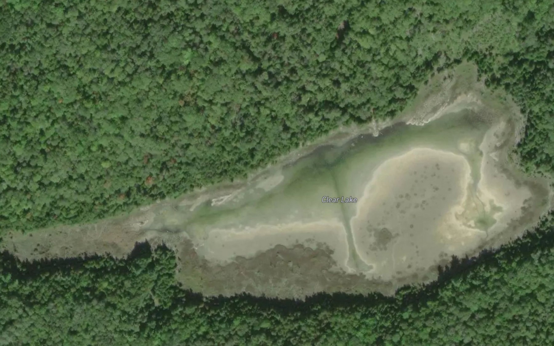 Satellite map of the Clear Lake