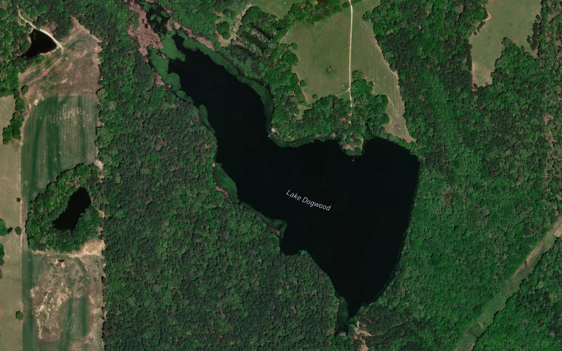 Satellite map of the Lake Dogwood