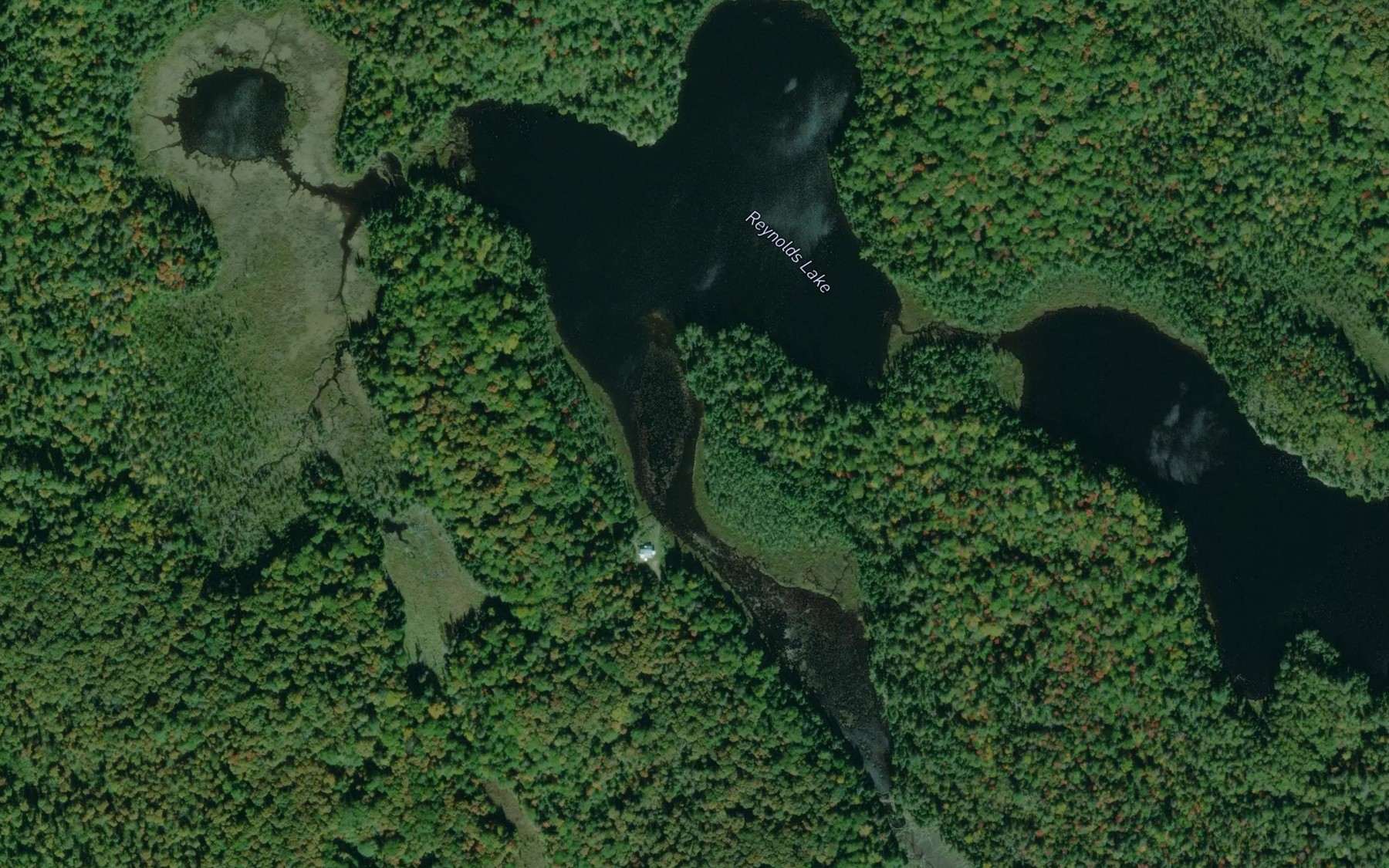 Satellite map of the Reynolds Lake