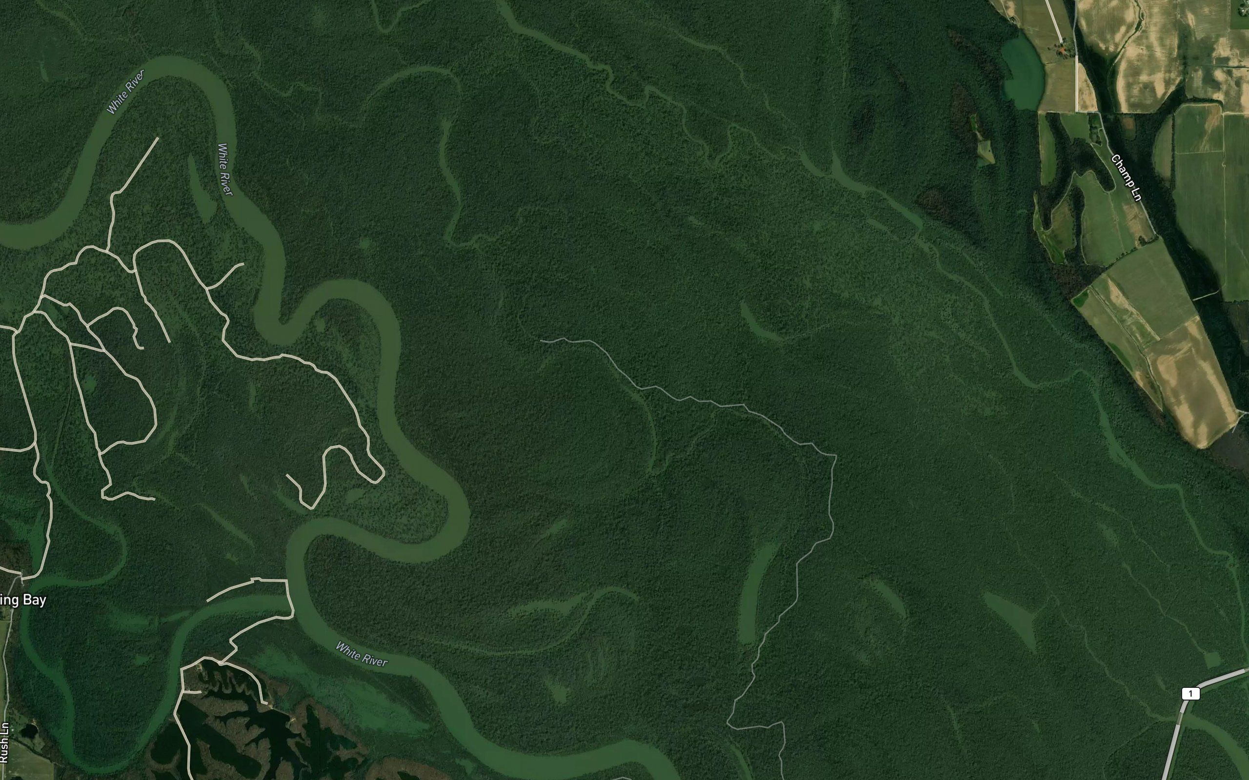 Lambert Bayou