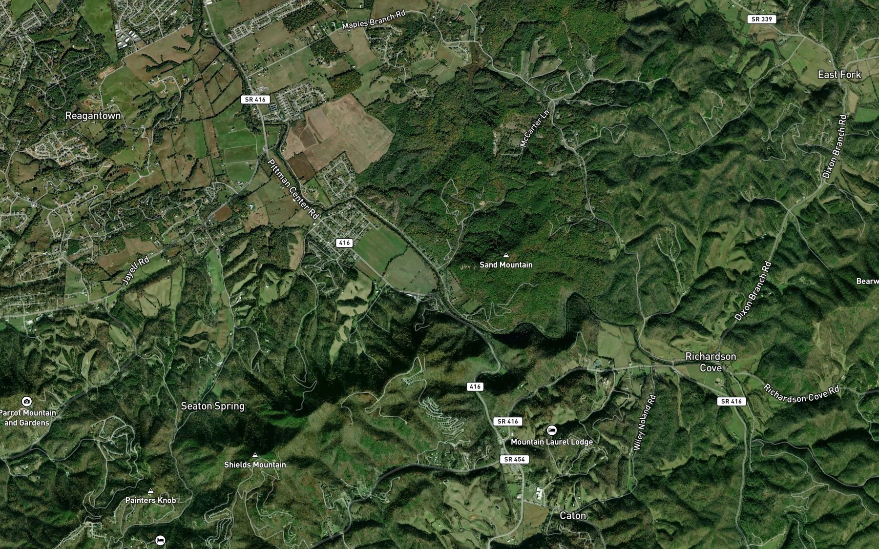 Satellite map of the Tattle Branch