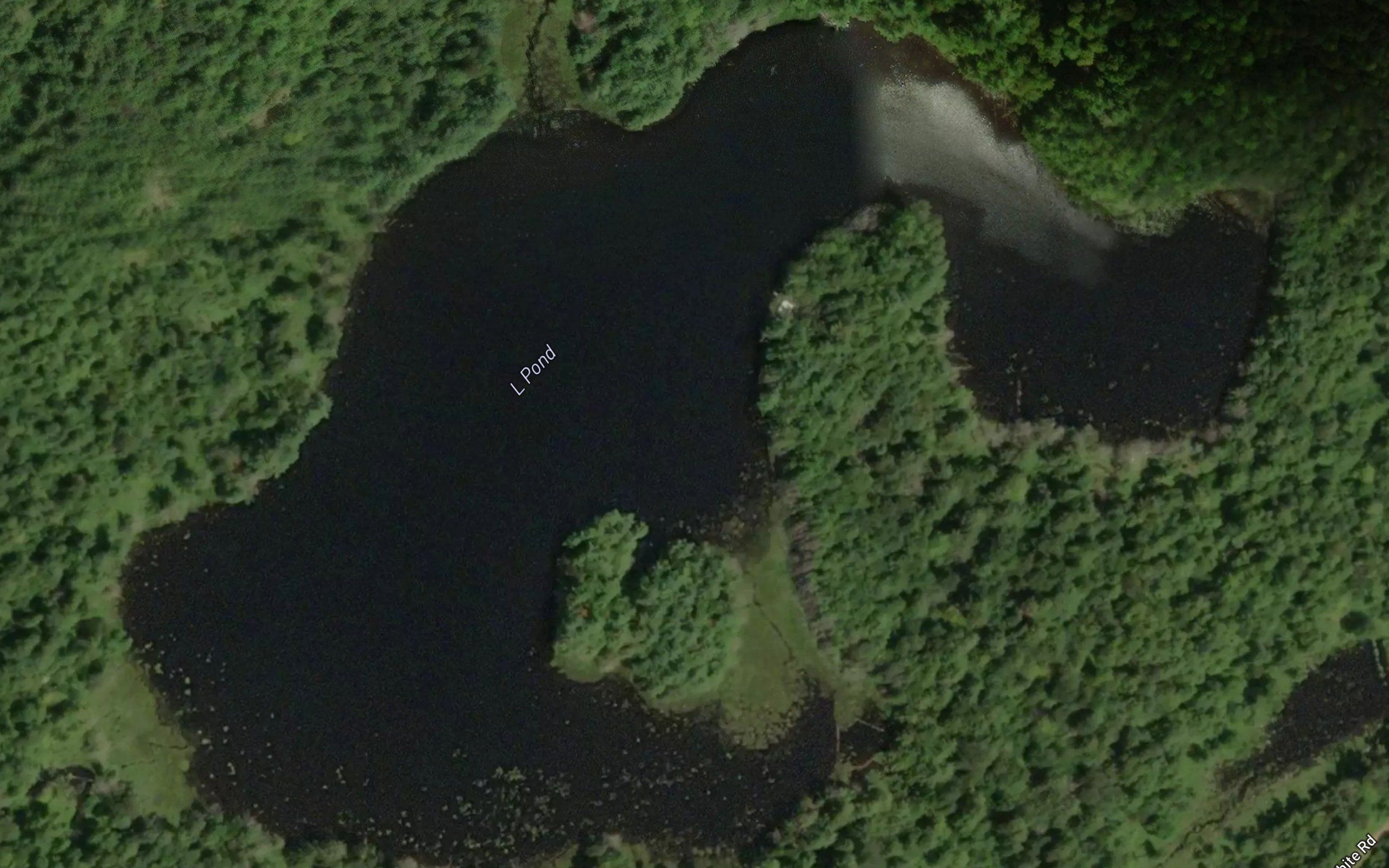 L Pond
