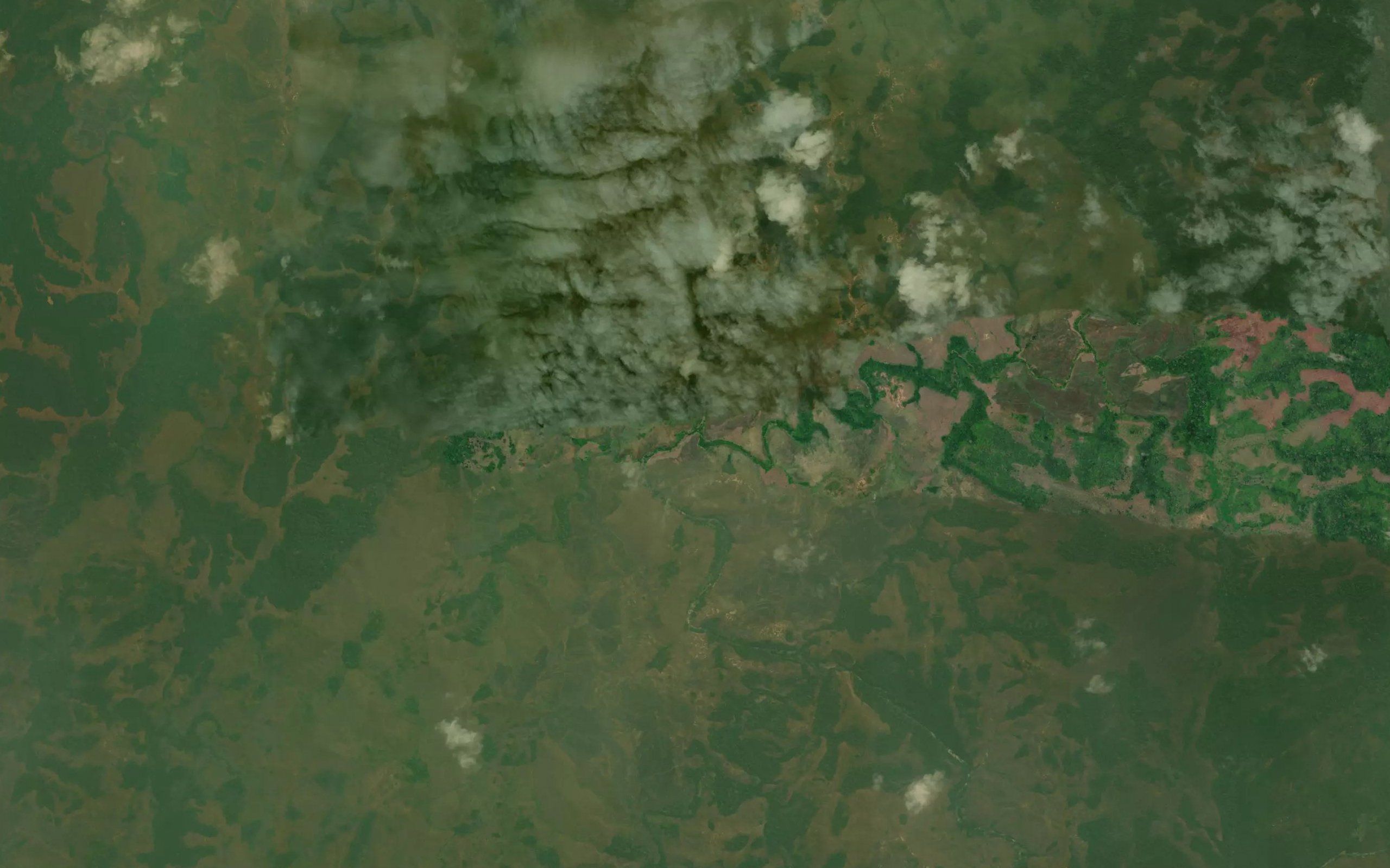 Nzenze