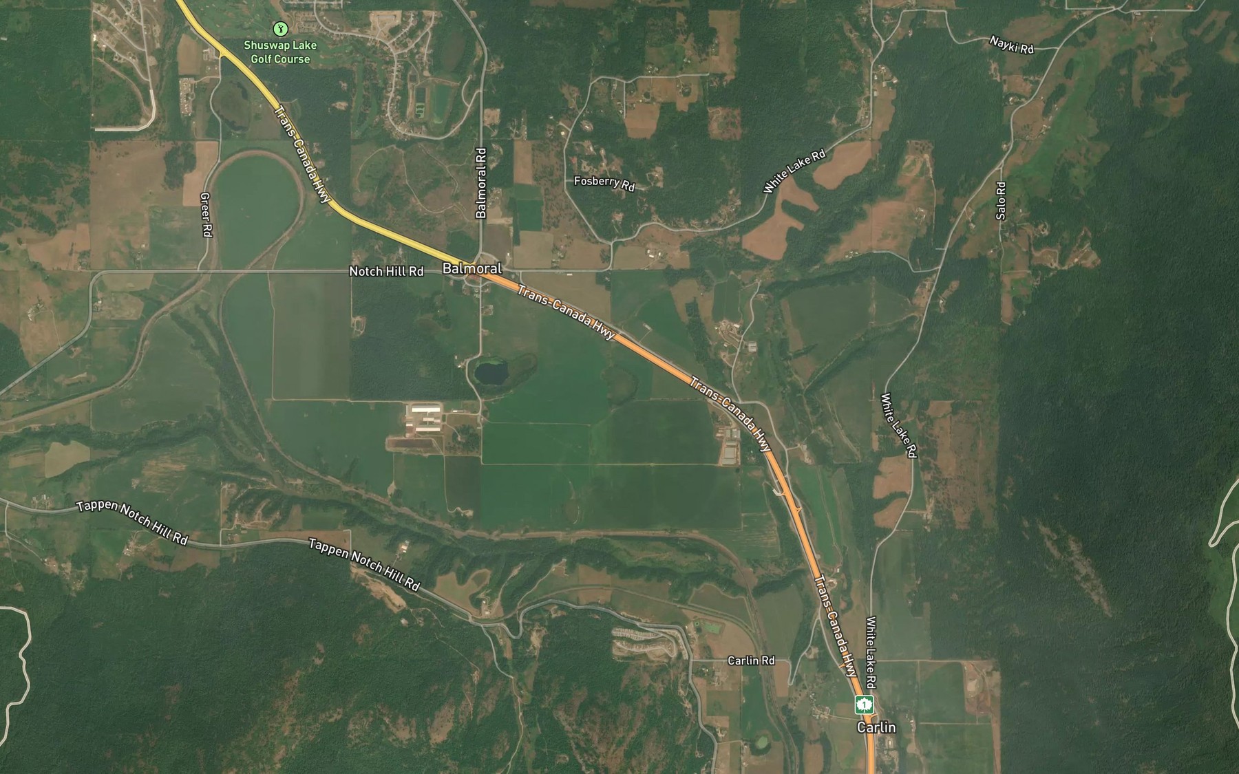 Satellite map of the Mossy Lake