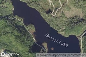 Benson Lake