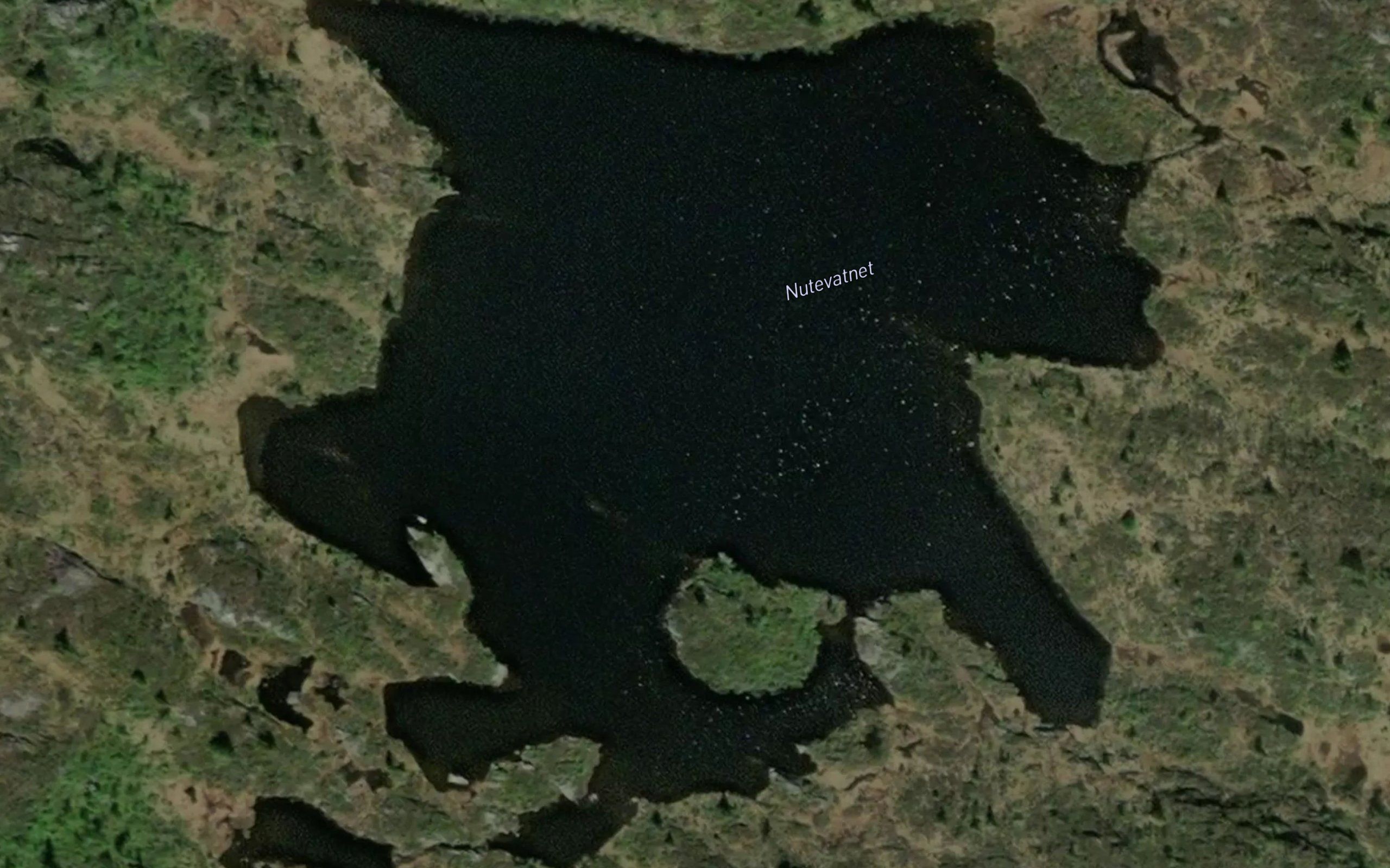 Nutevatnet (midtre)