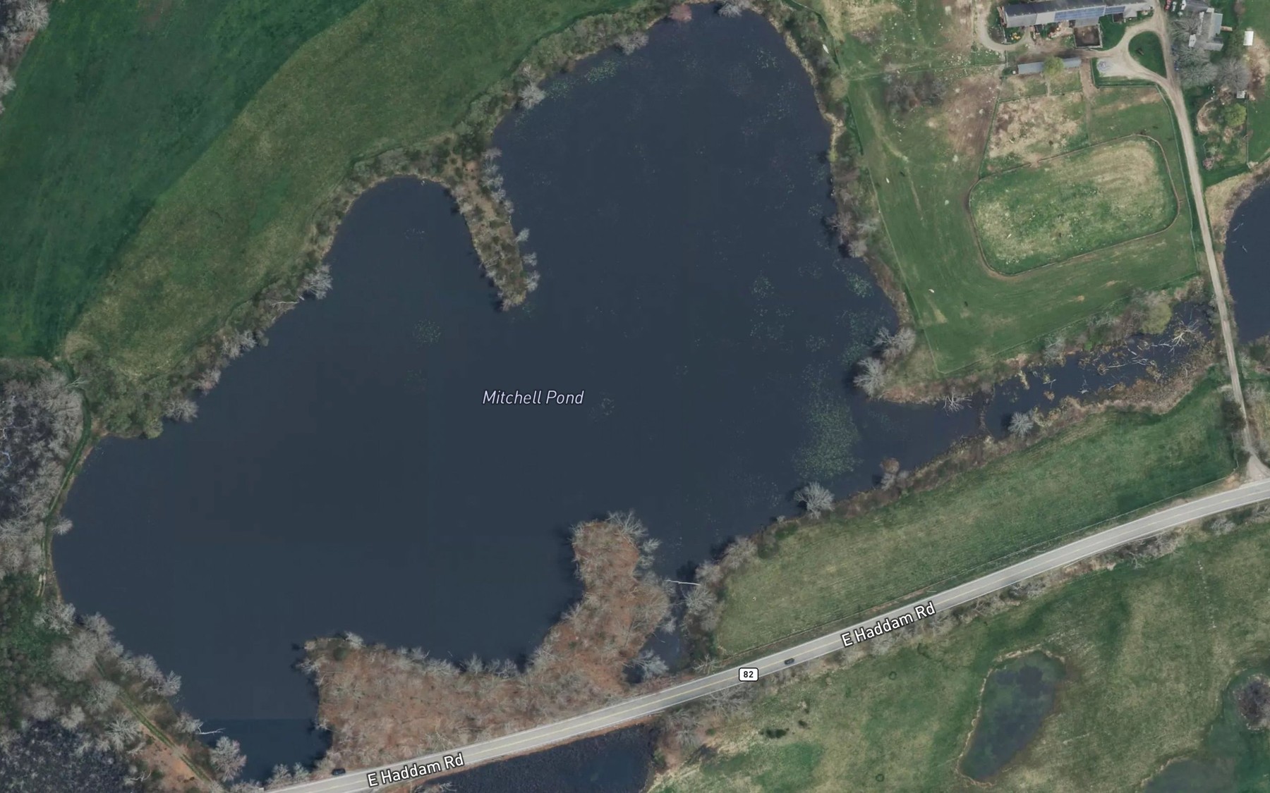 Satellite map of the Mitchell Pond