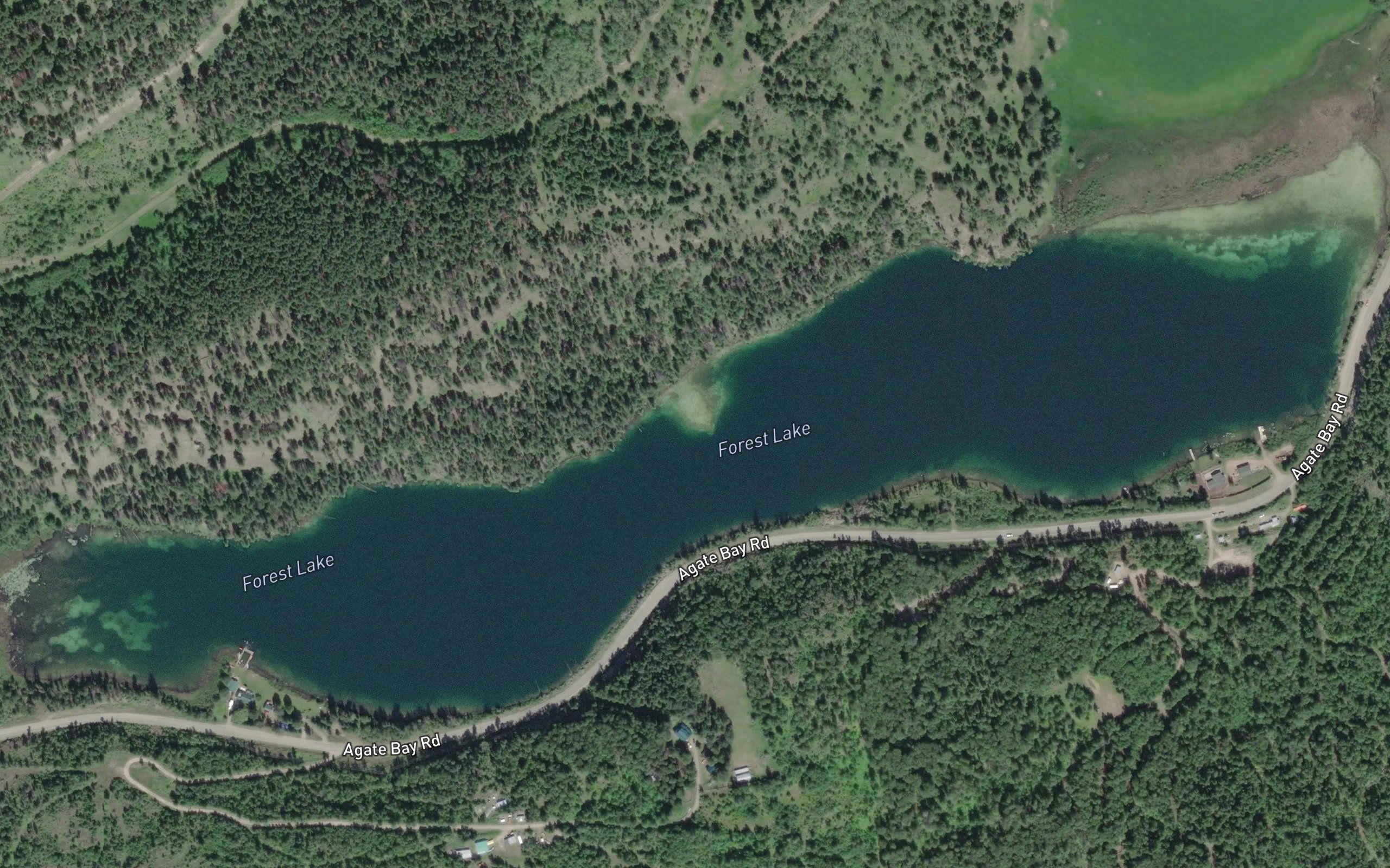 Forest Lake