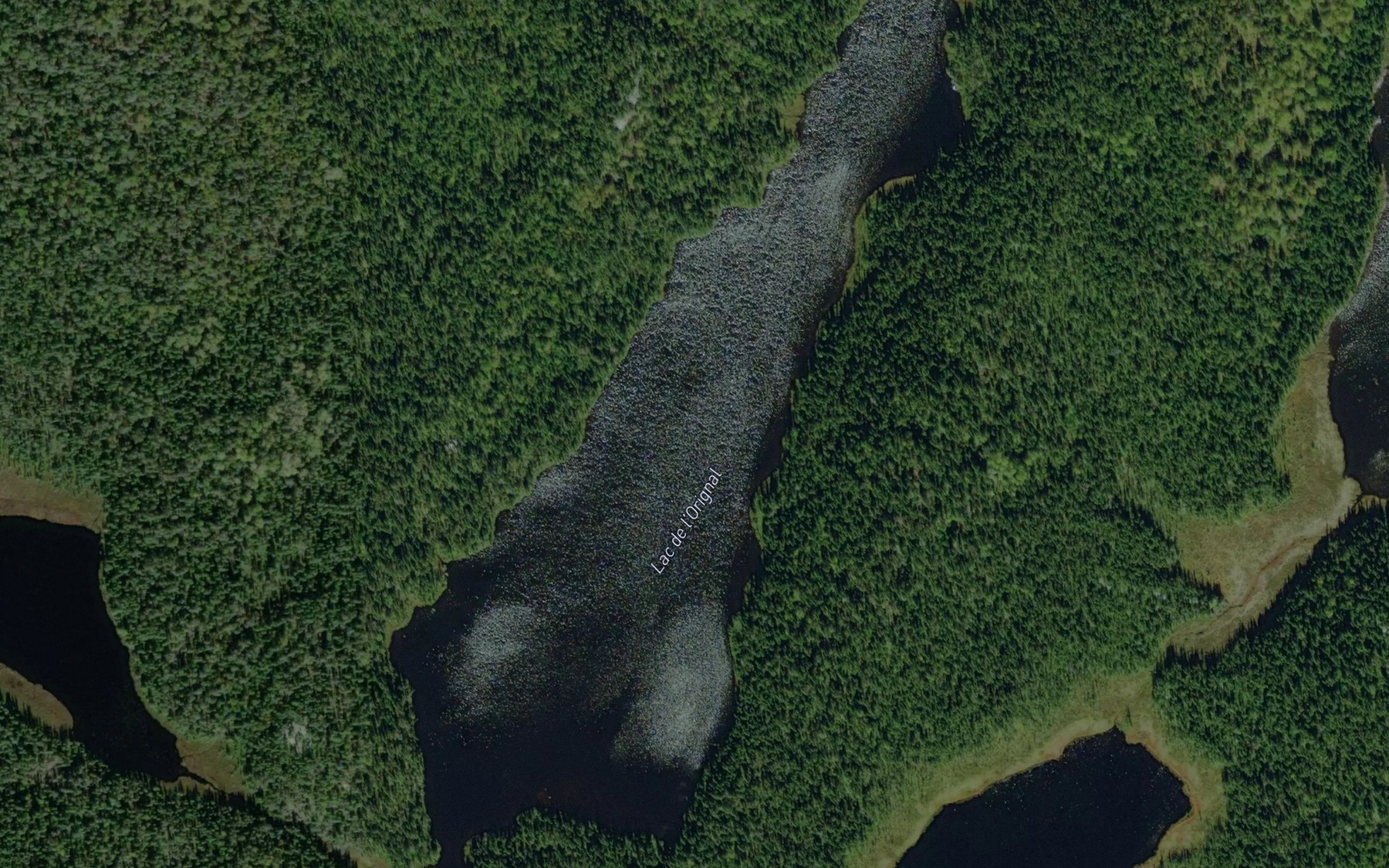 Satellite map of the Lac de l'Orignal