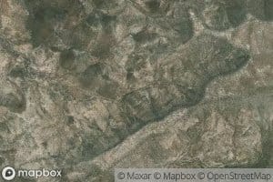 Canada Palo Fierrosa