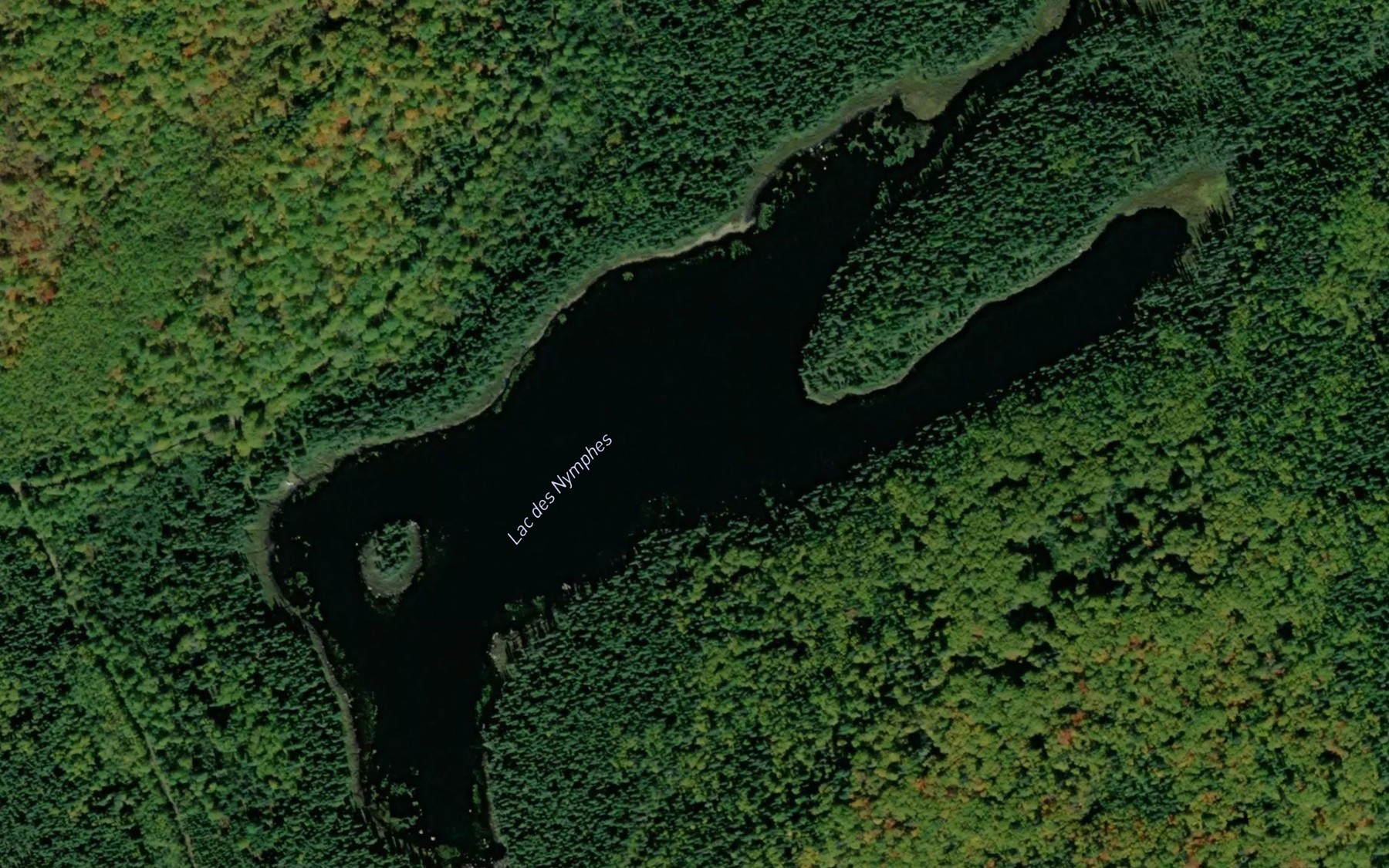 Satellite map of the Lac des Nymphes
