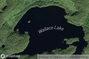 Wallace Lake