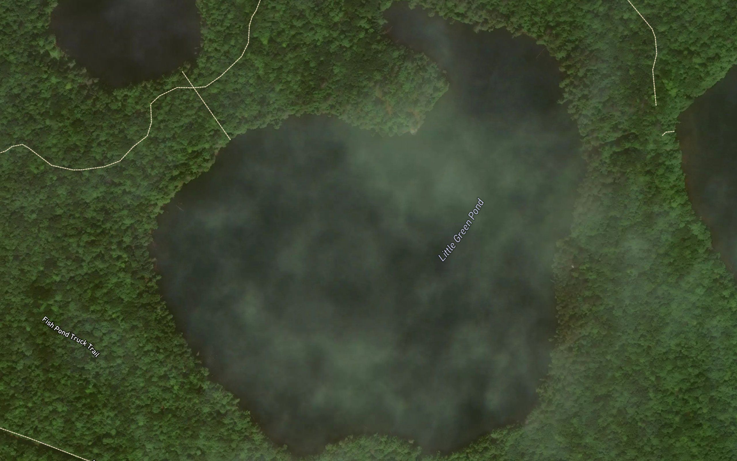 Little Green Pond