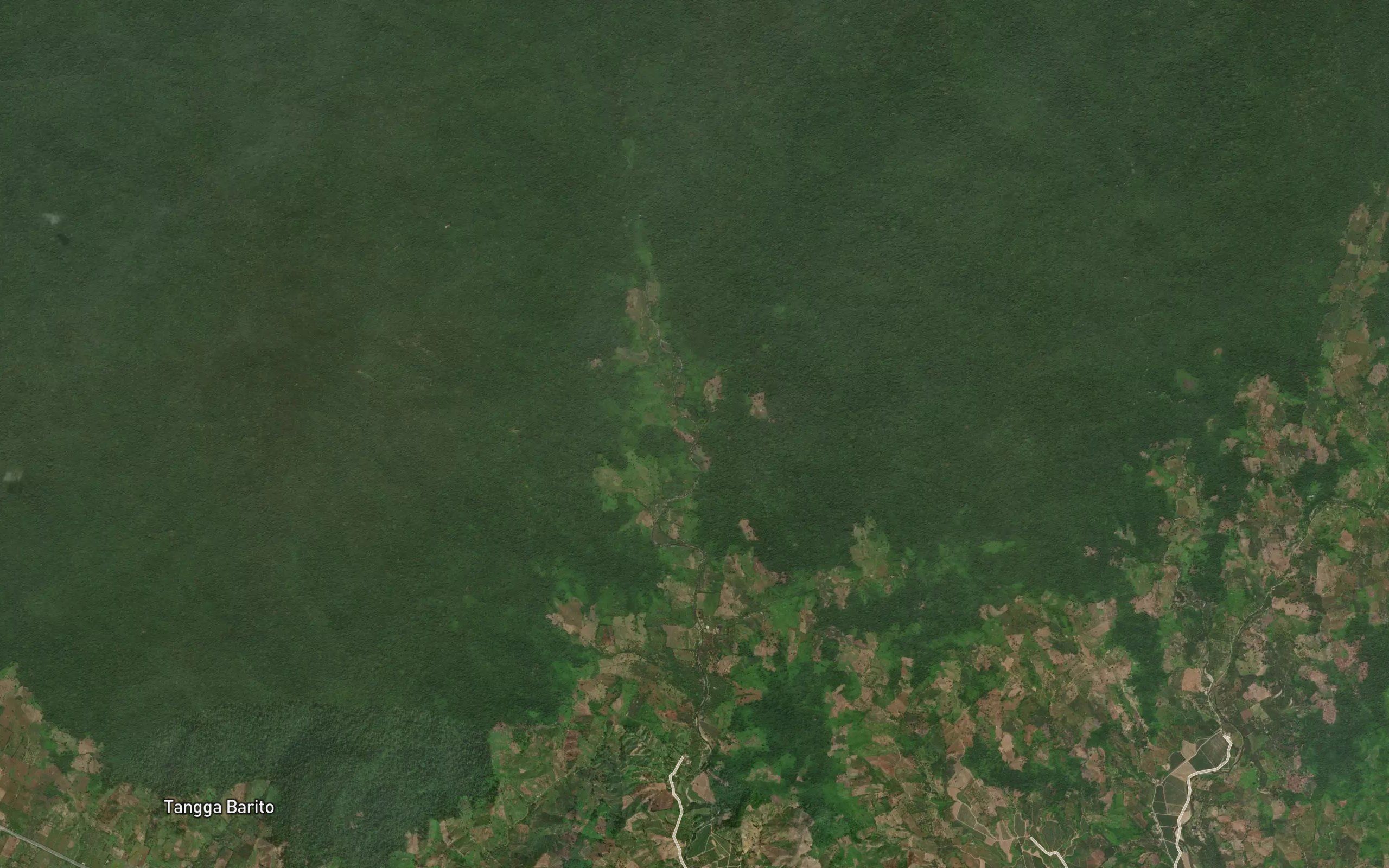 Dutula Mebongo