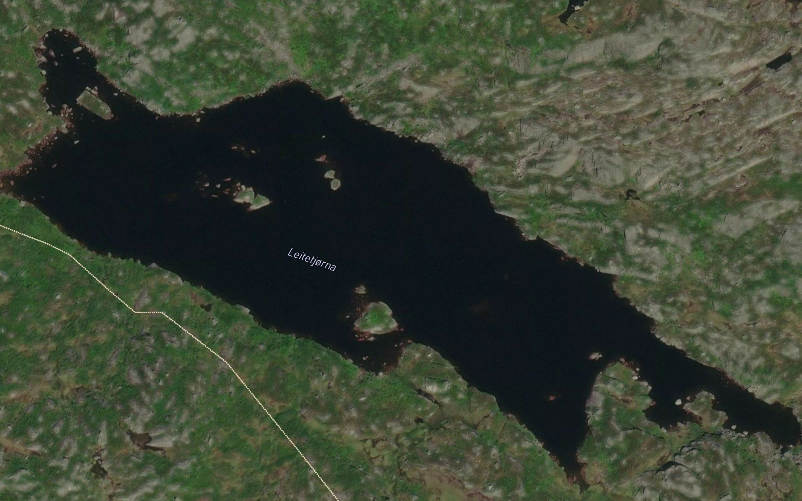 Leitetjorni