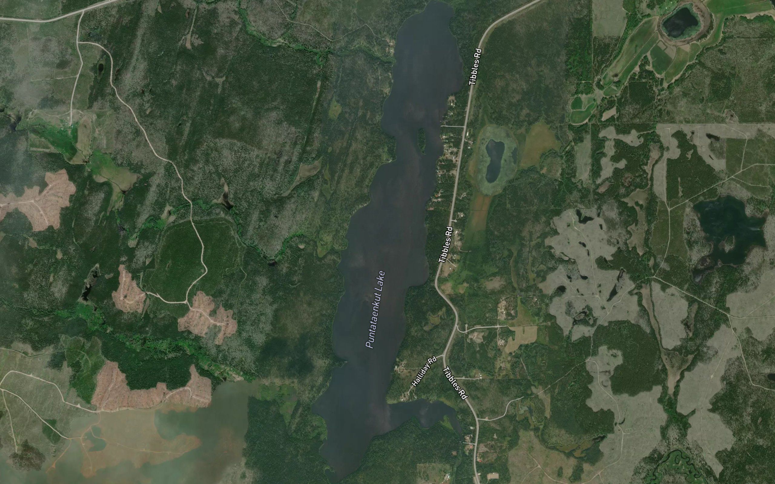 Puntataenkut Lake