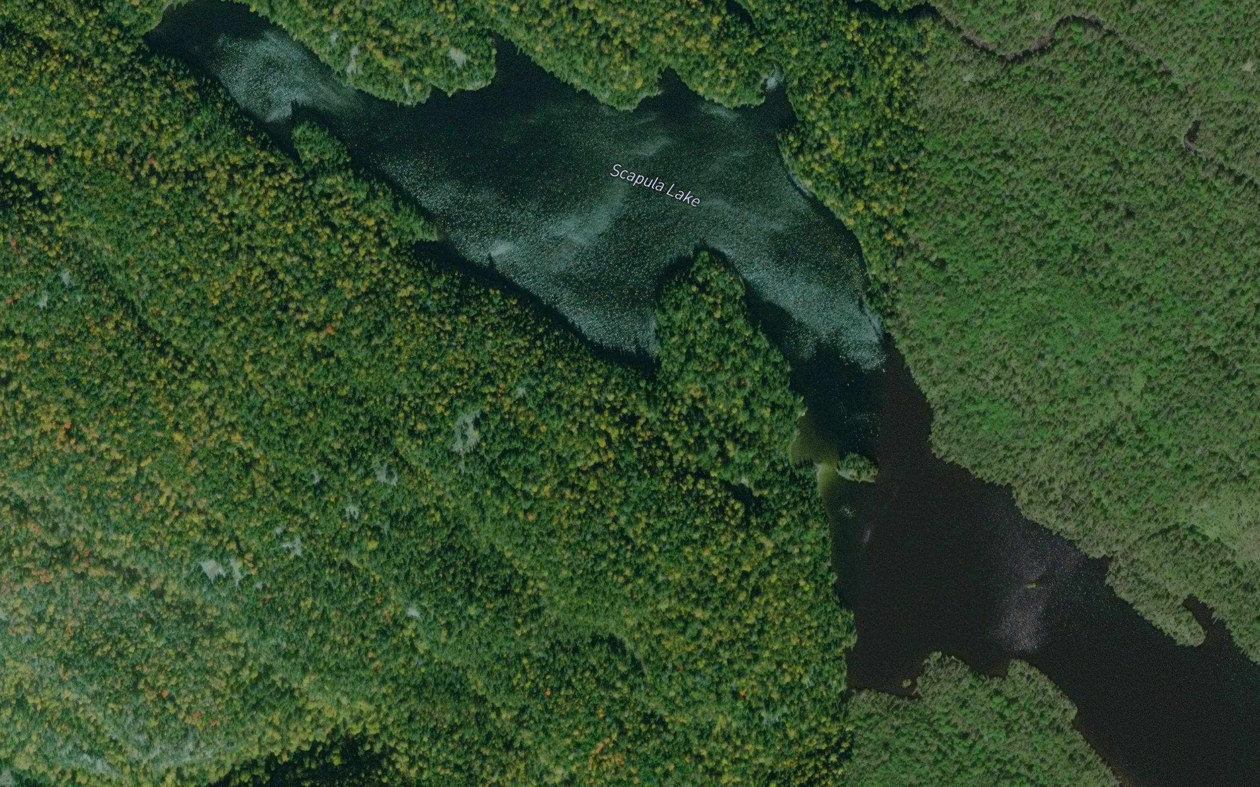 Scapula Lake