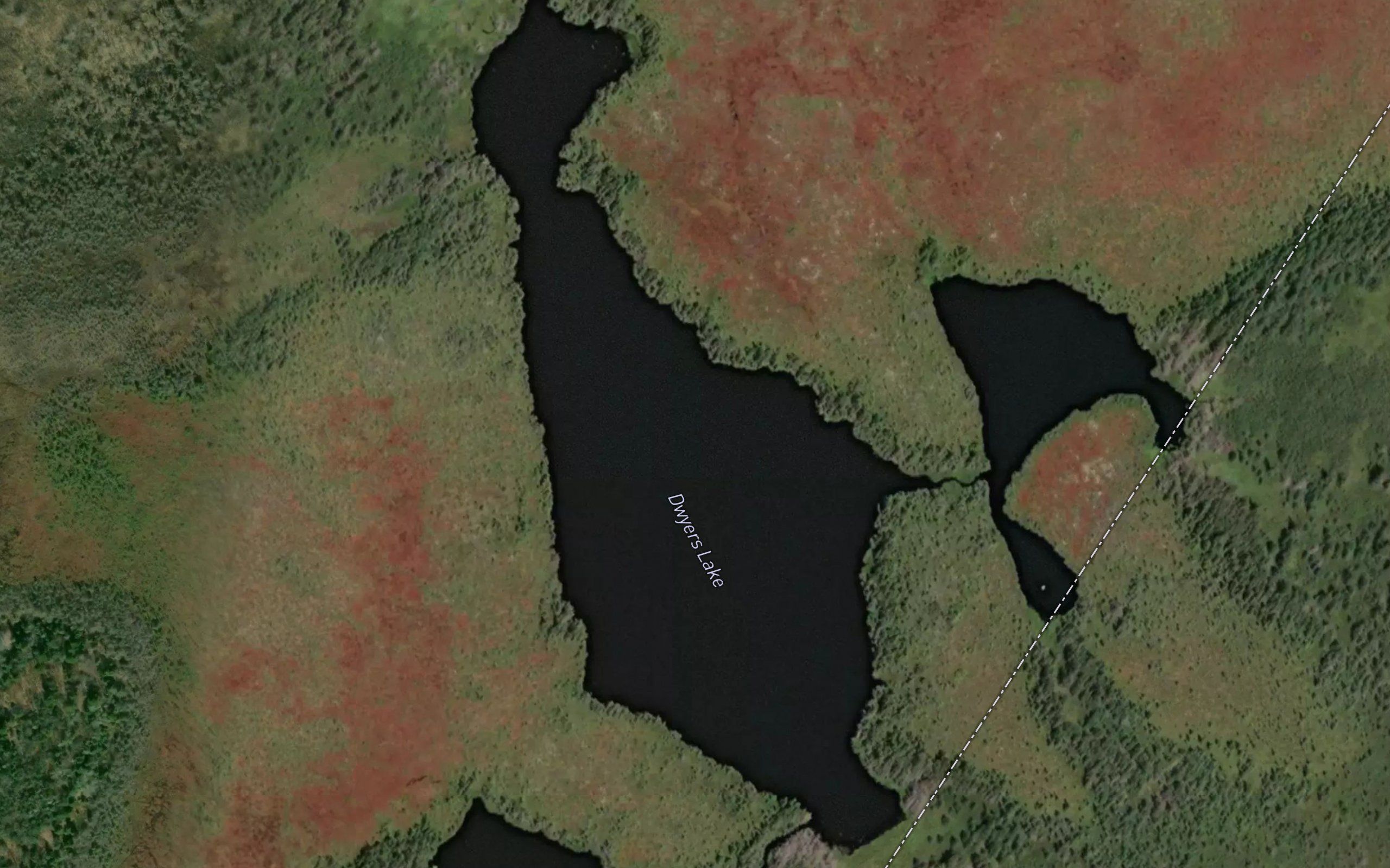 Dwyers Lake