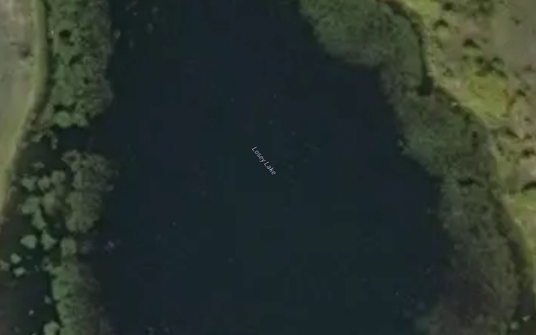 Satellite map of the Losey Lake