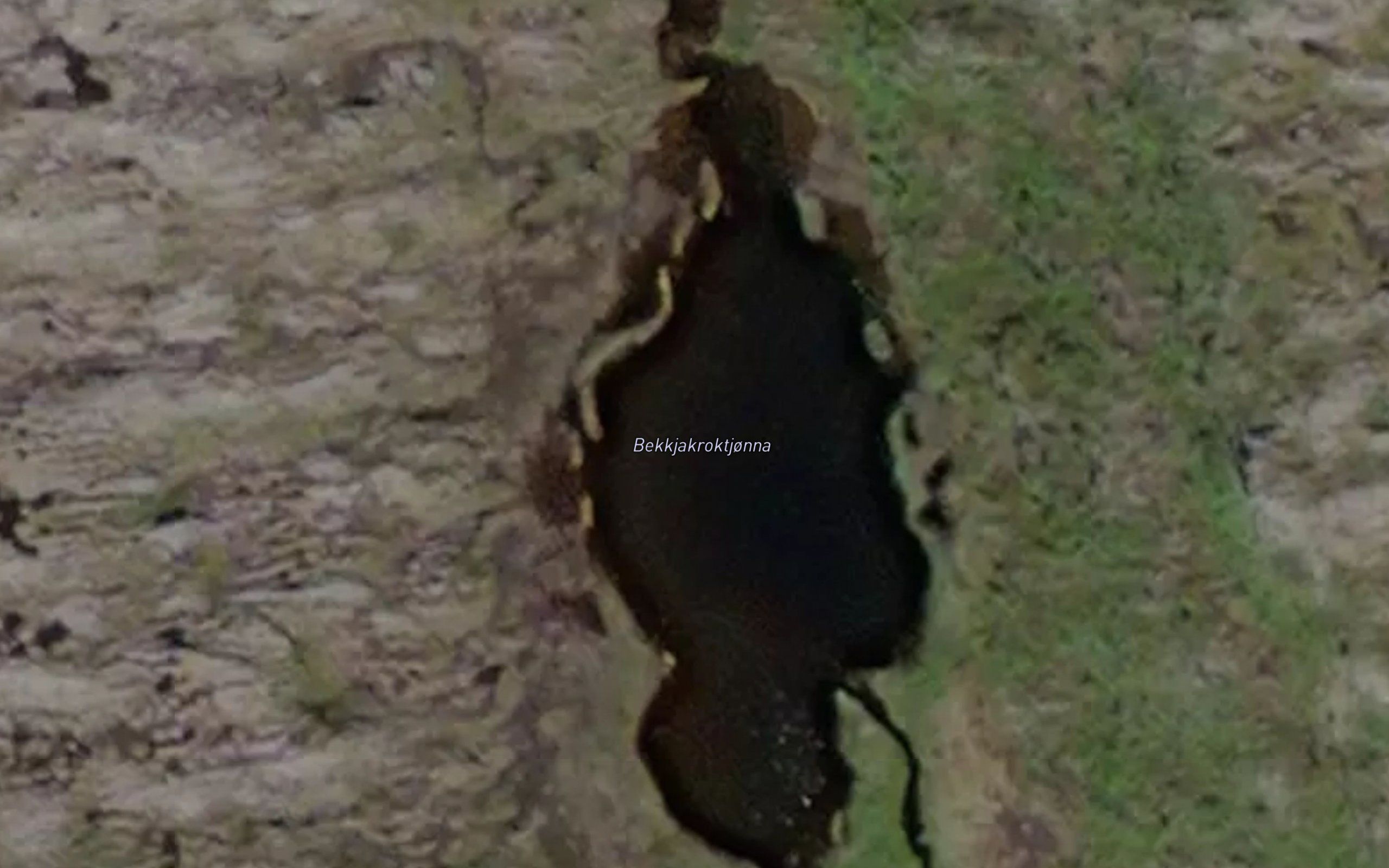 Bekkjakroktjonna