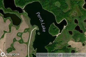Perch Lake