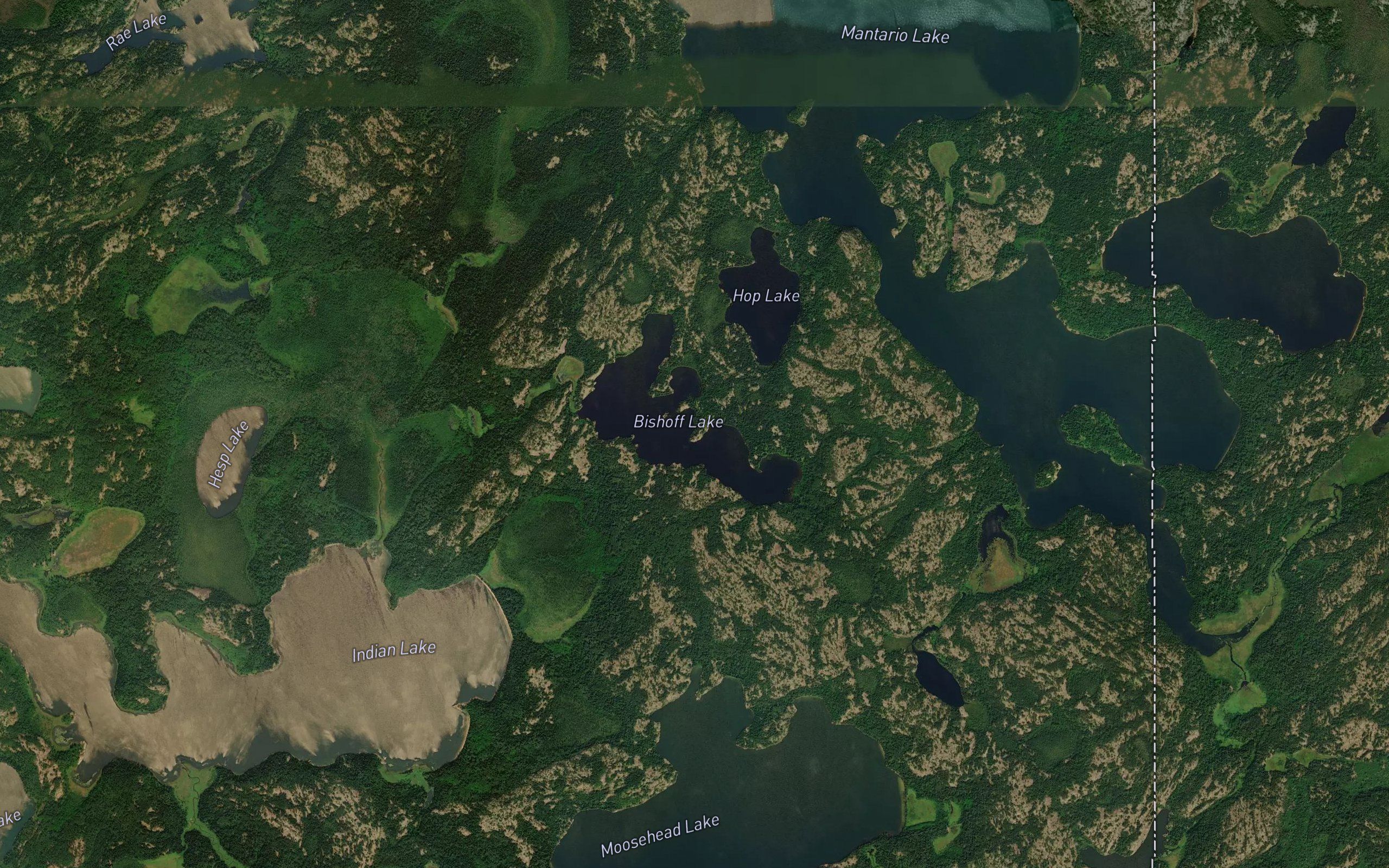 Bishoff Lake