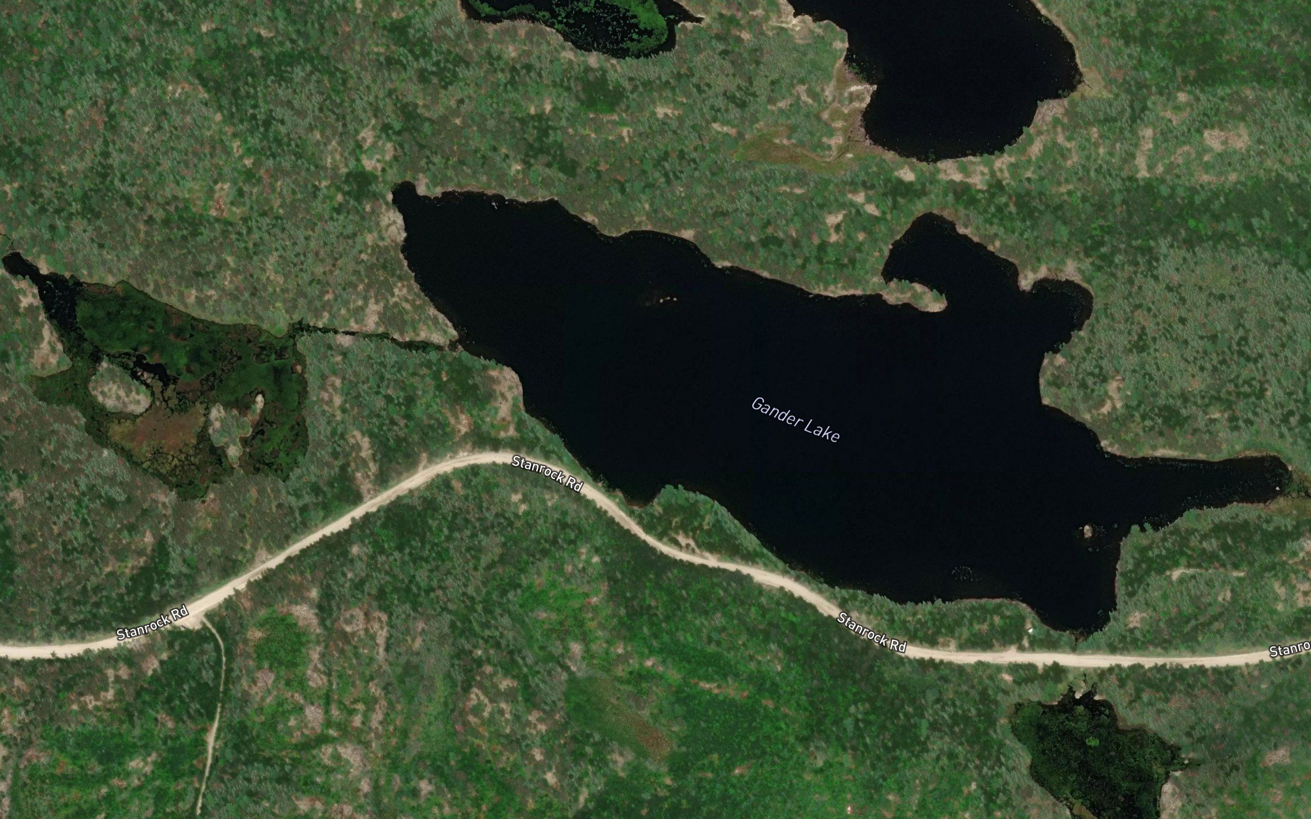 Gander Lake