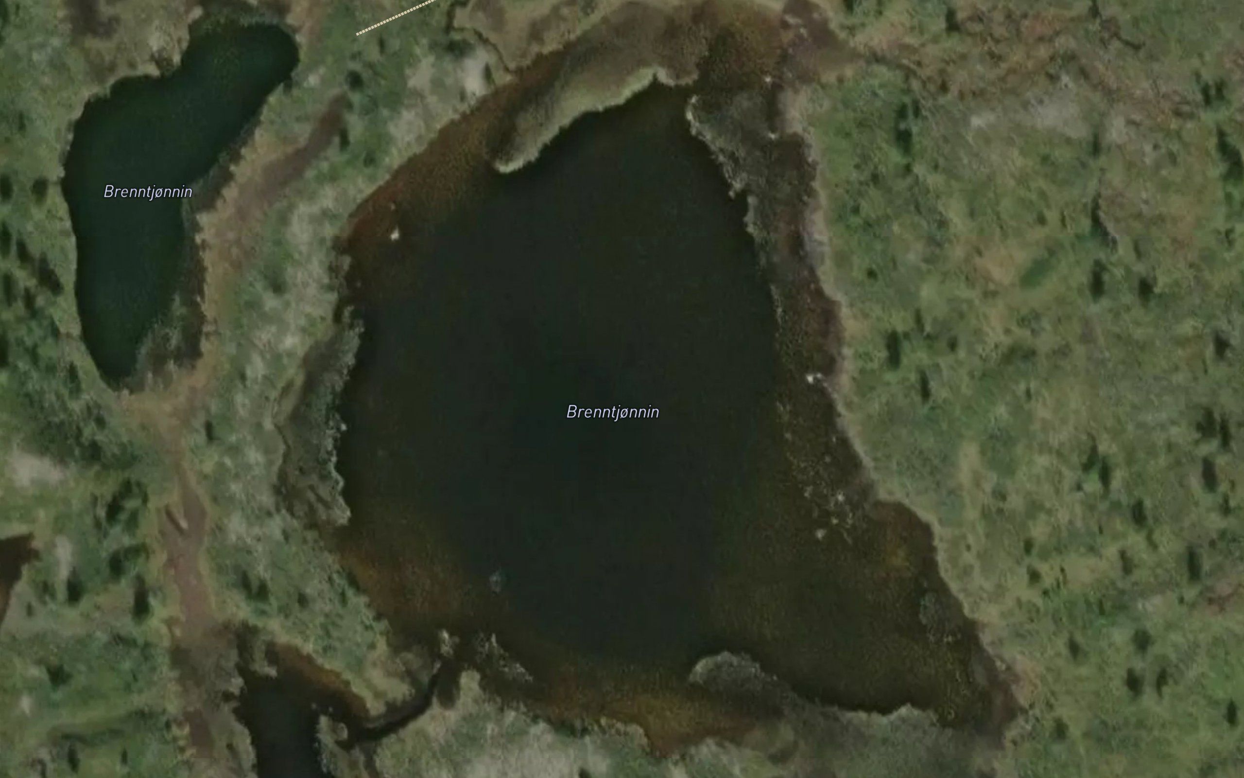 Brenntjorna