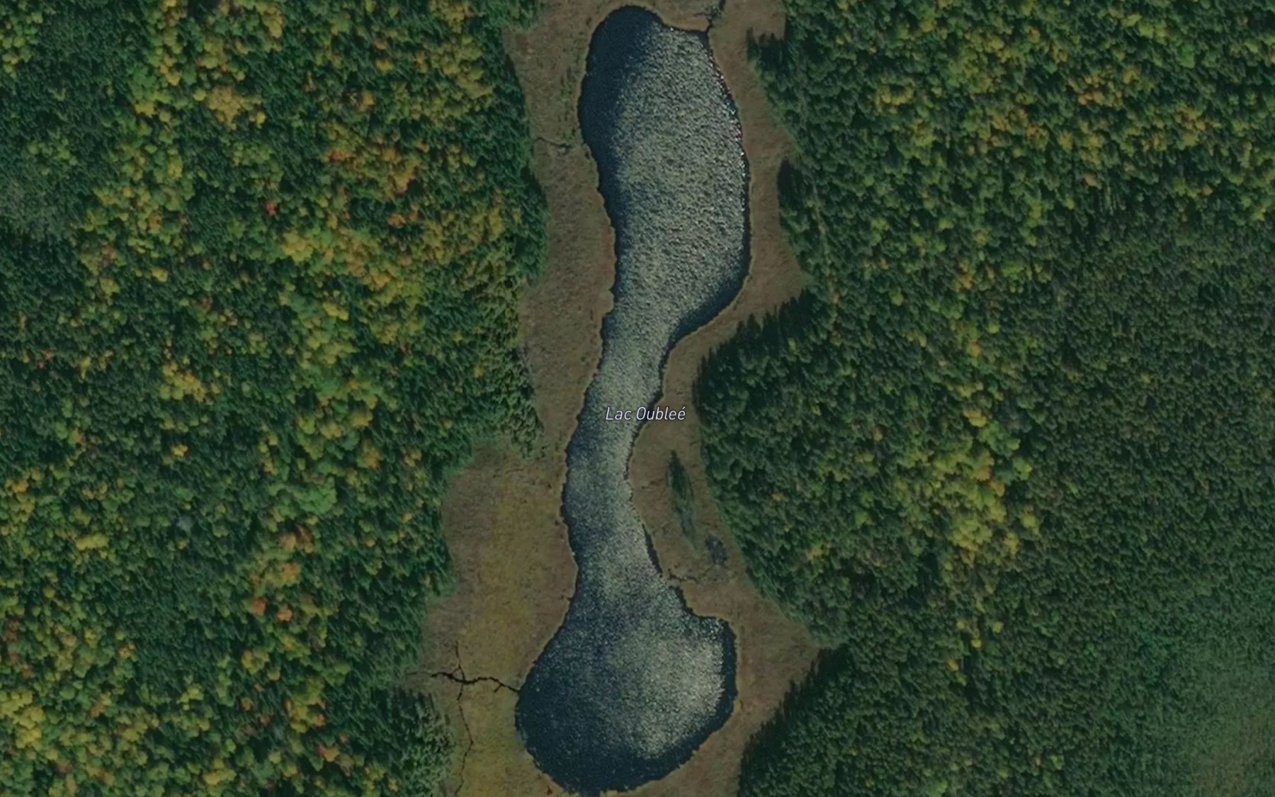 Satellite map of the Lac Oublie