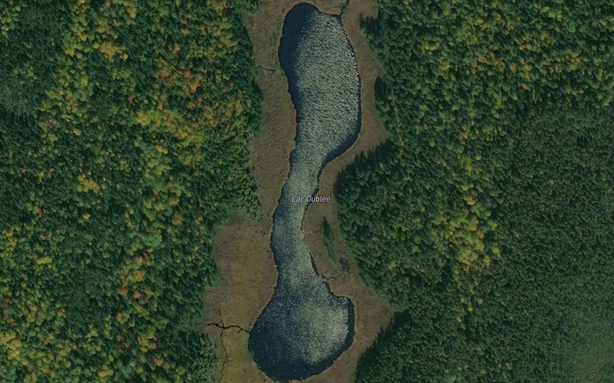 Lac Oublie