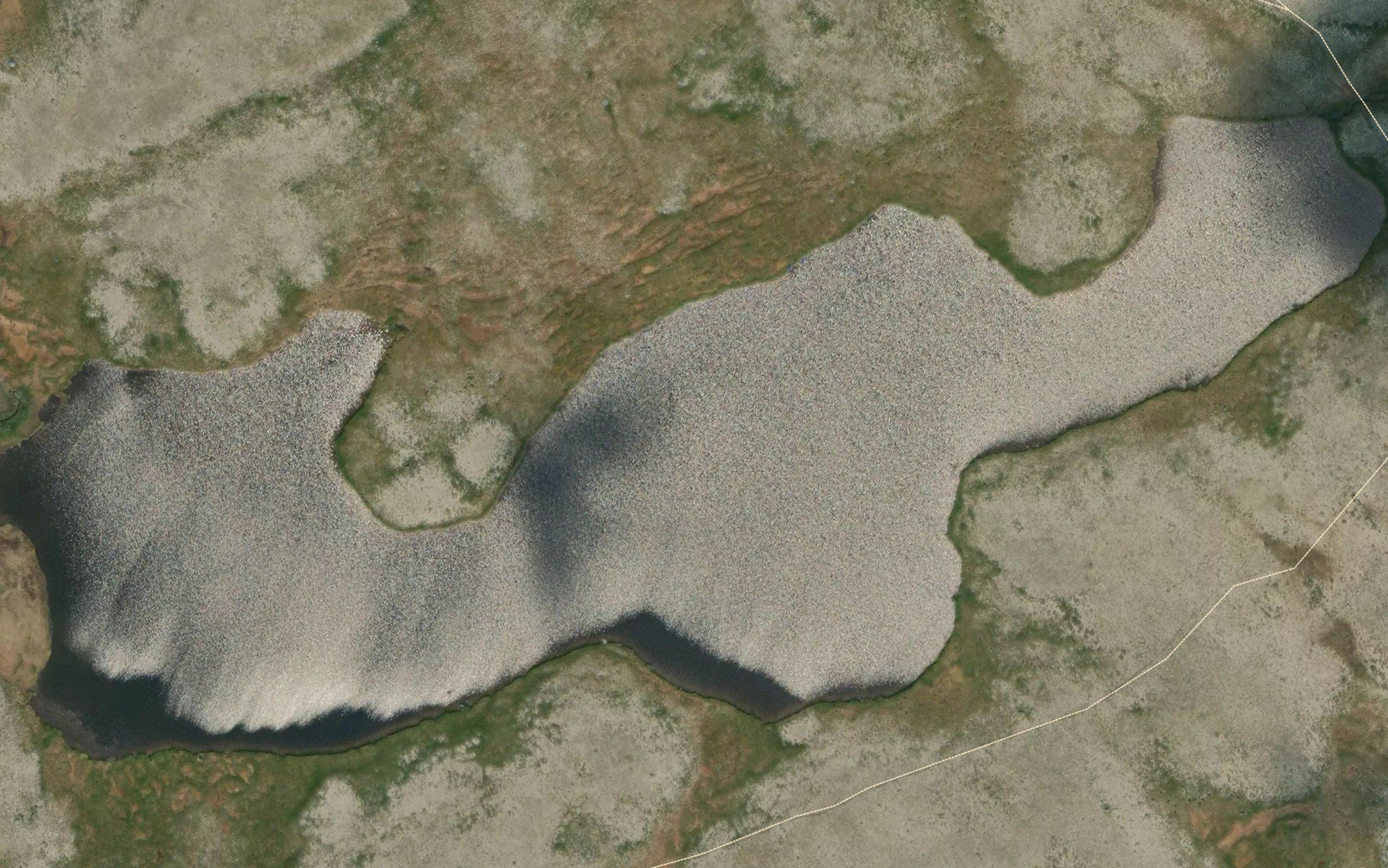 Rambergtjorna