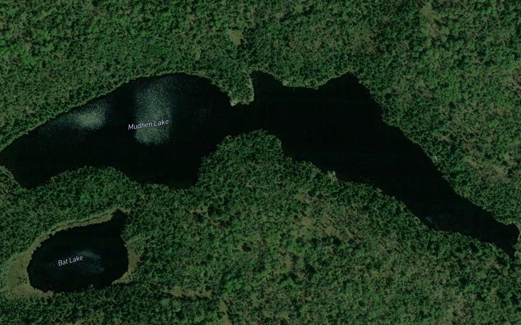 Satellite map of the Mudhen Lake
