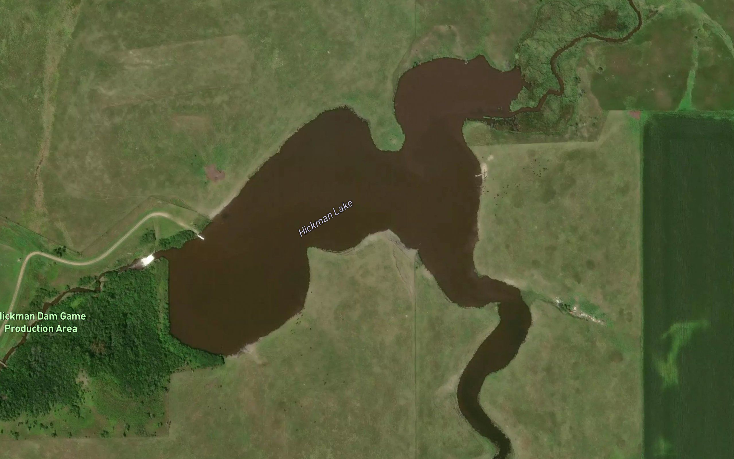 Hickman Lake