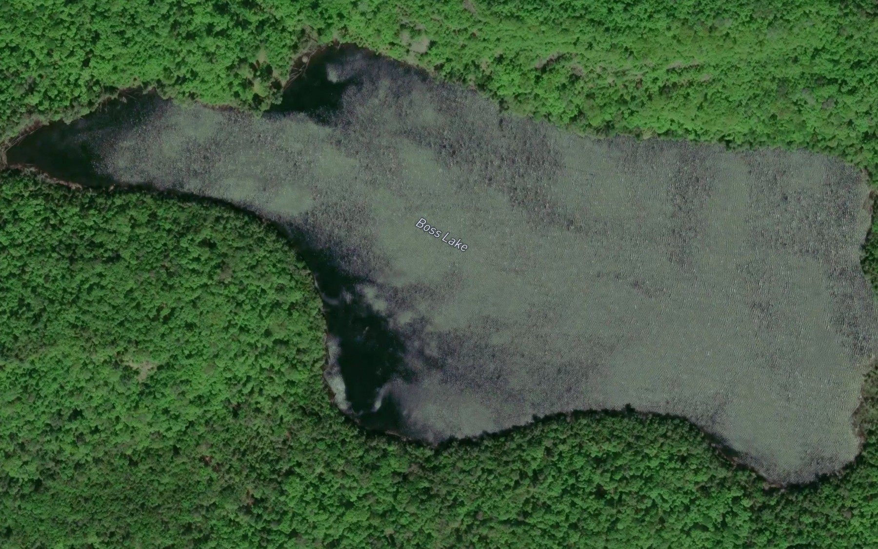 Satellite map of the Boss Lake