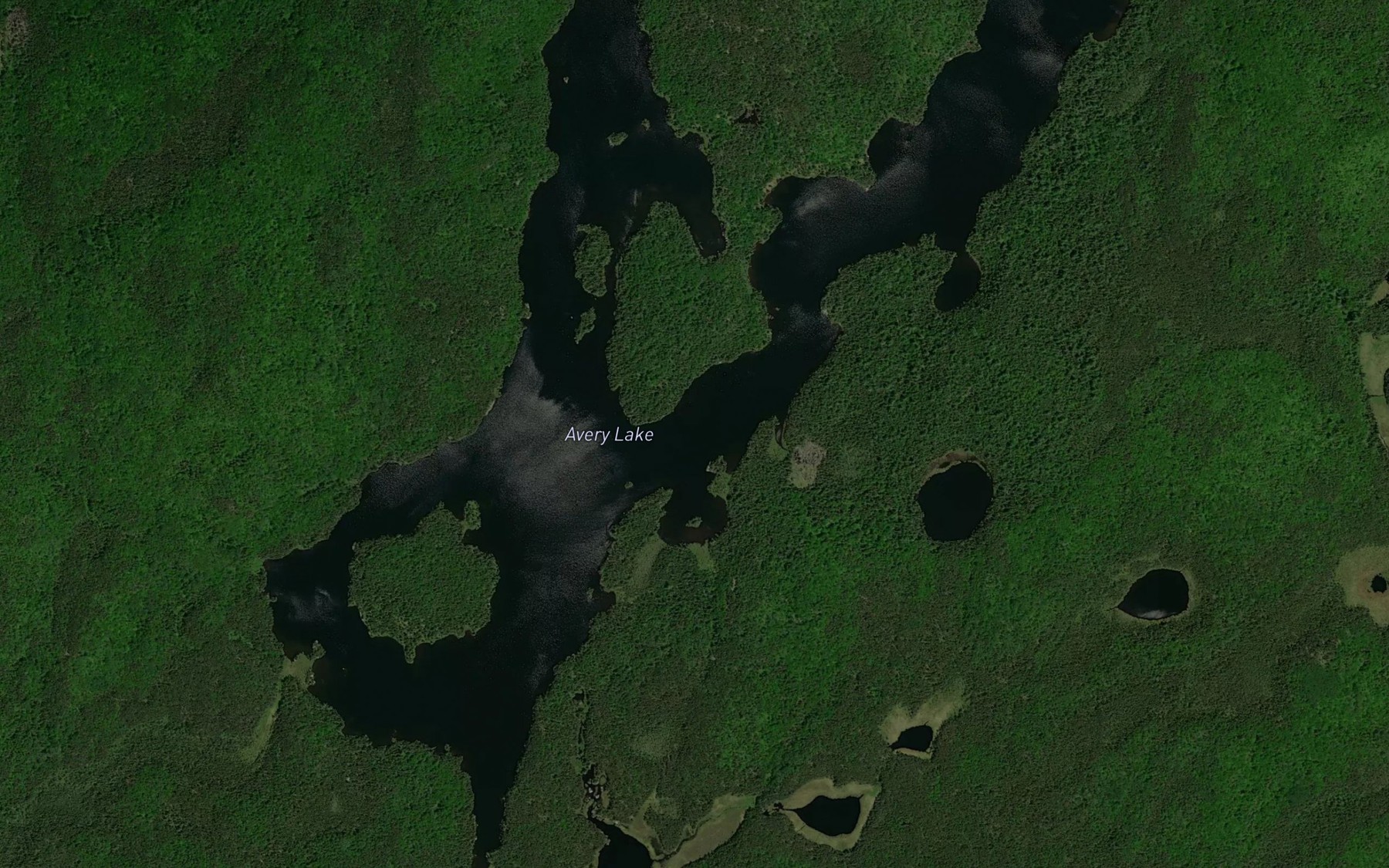 Satellite map of the Avery Lake