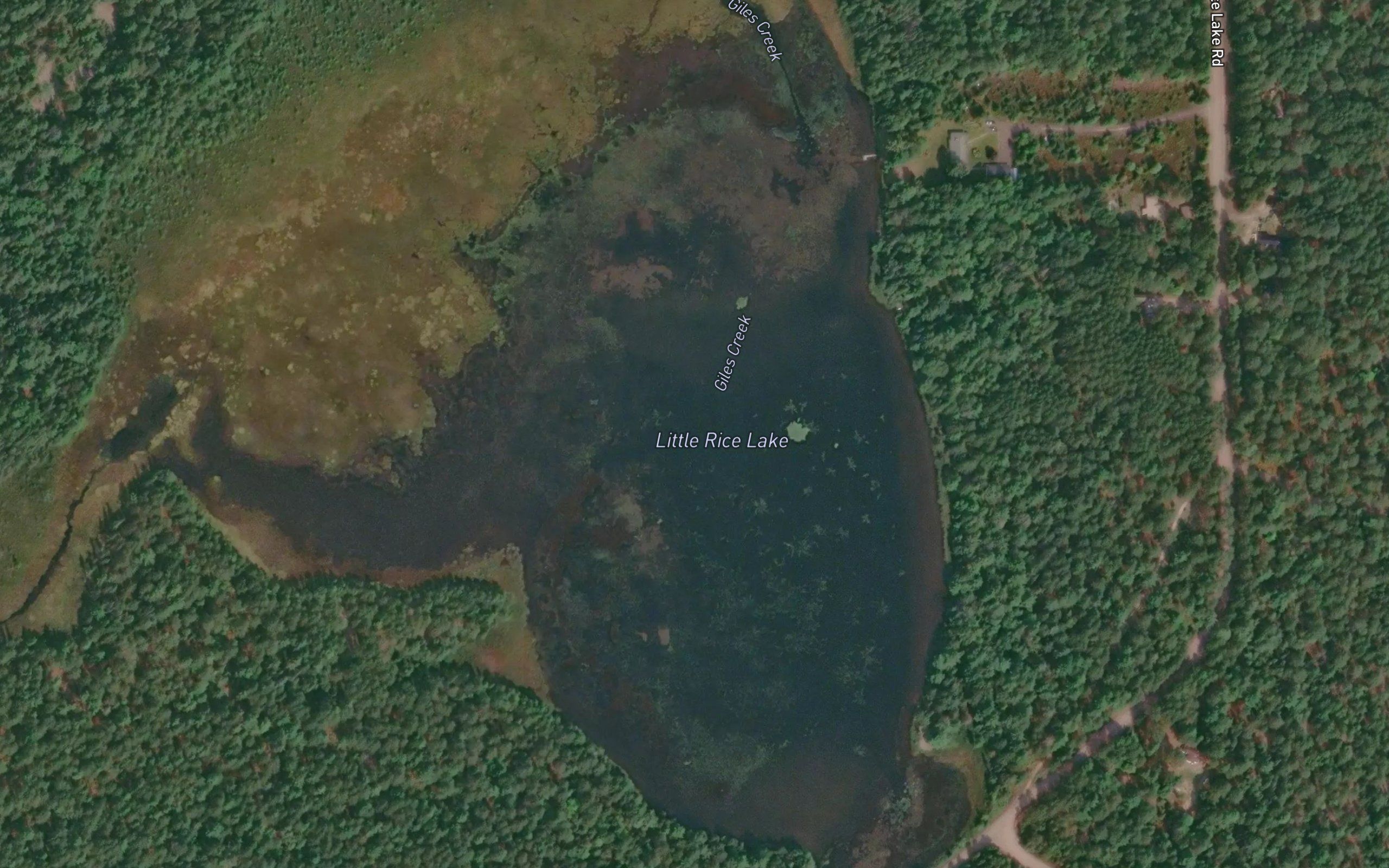 Little Rice Lake