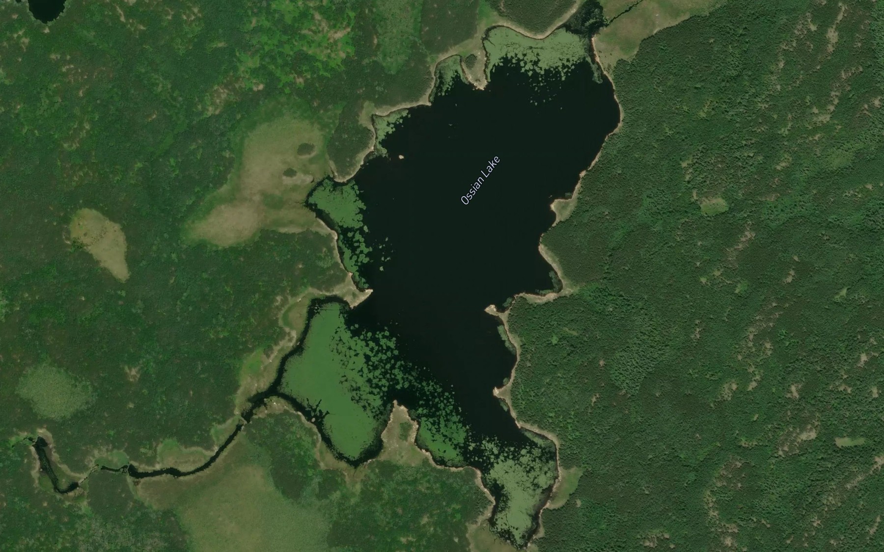 Satellite map of the Ossian Lake
