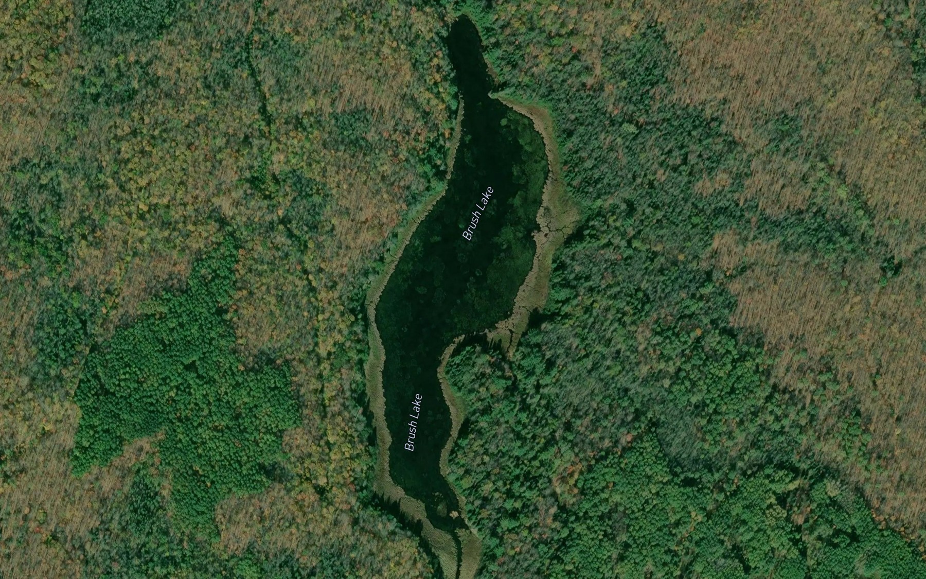 Satellite map of the Brush Lake