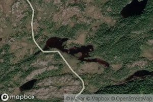 Torvtjorna